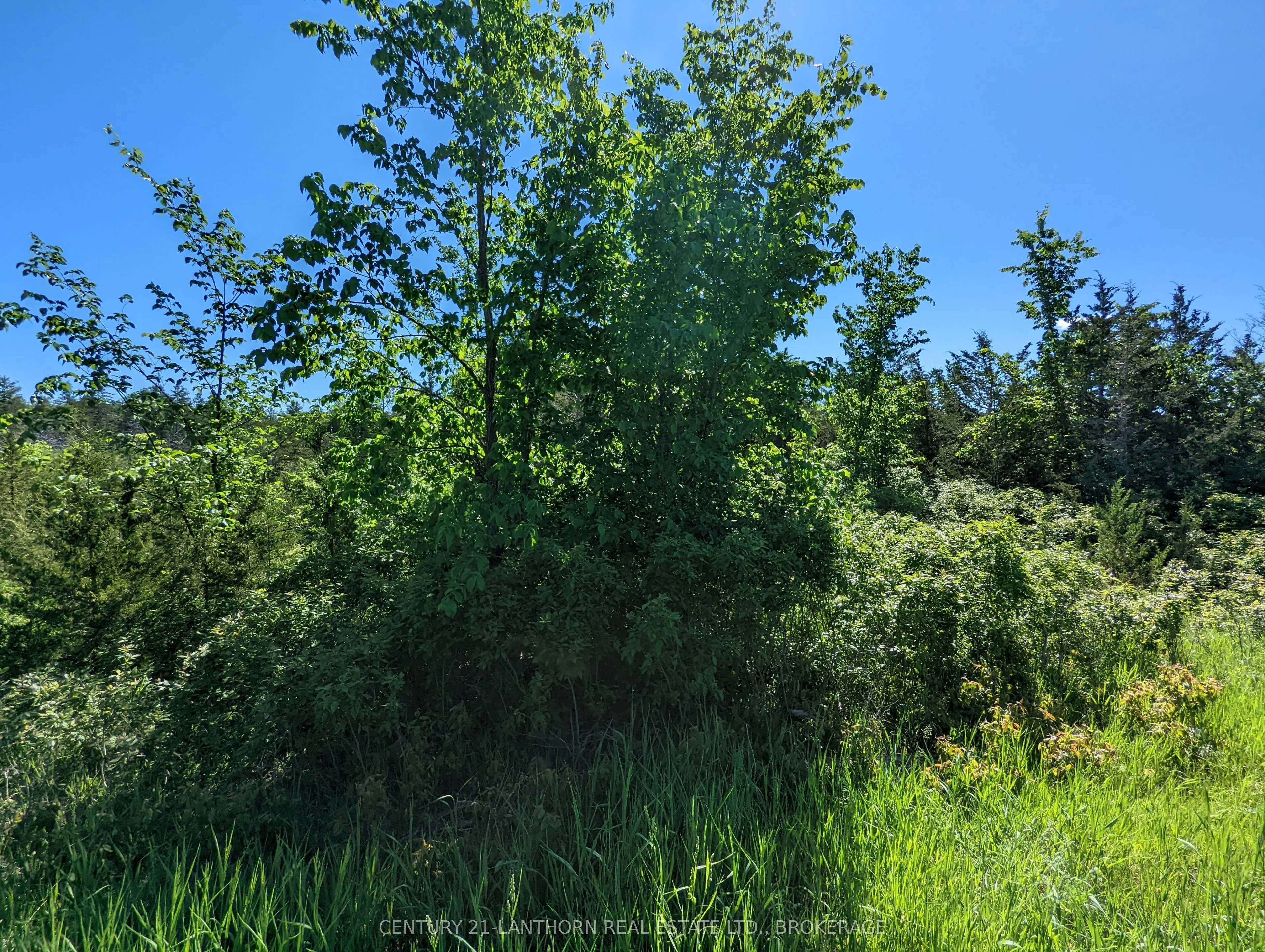 0 Pinegrove Road