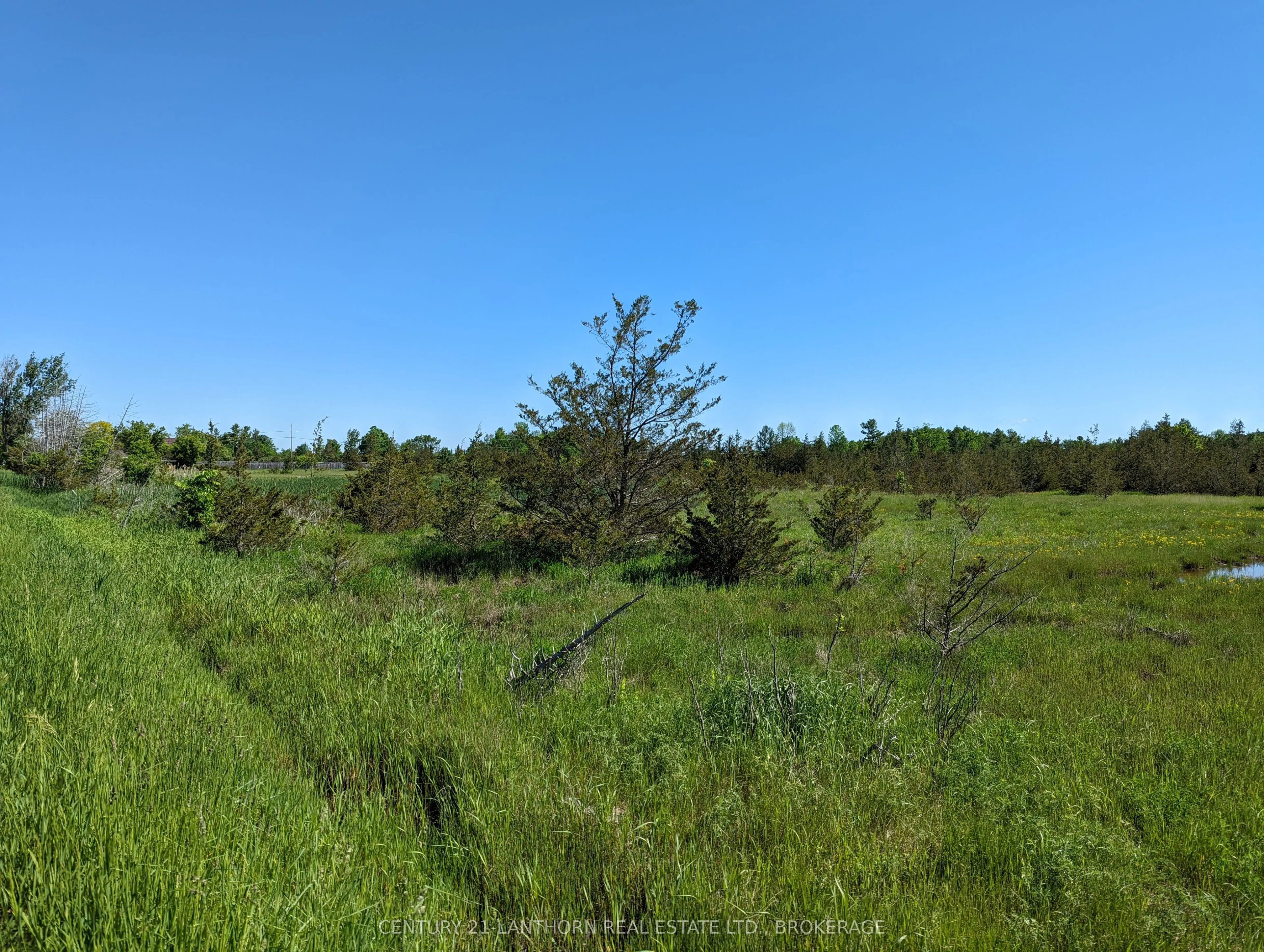 0 Pinegrove Road