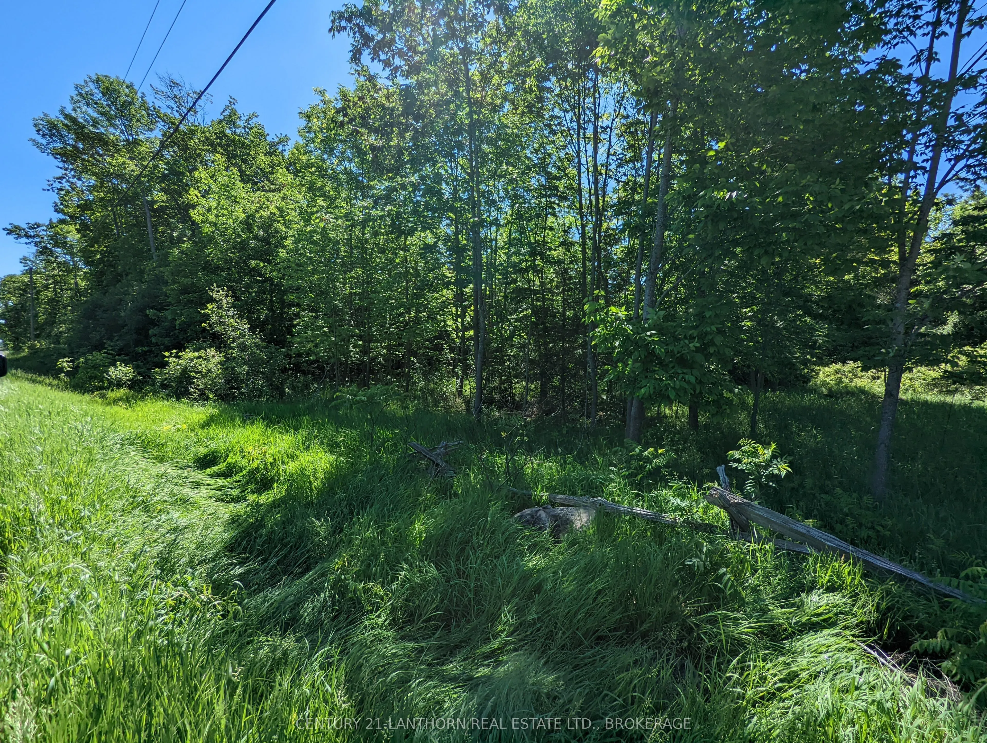 0 Pinegrove Road