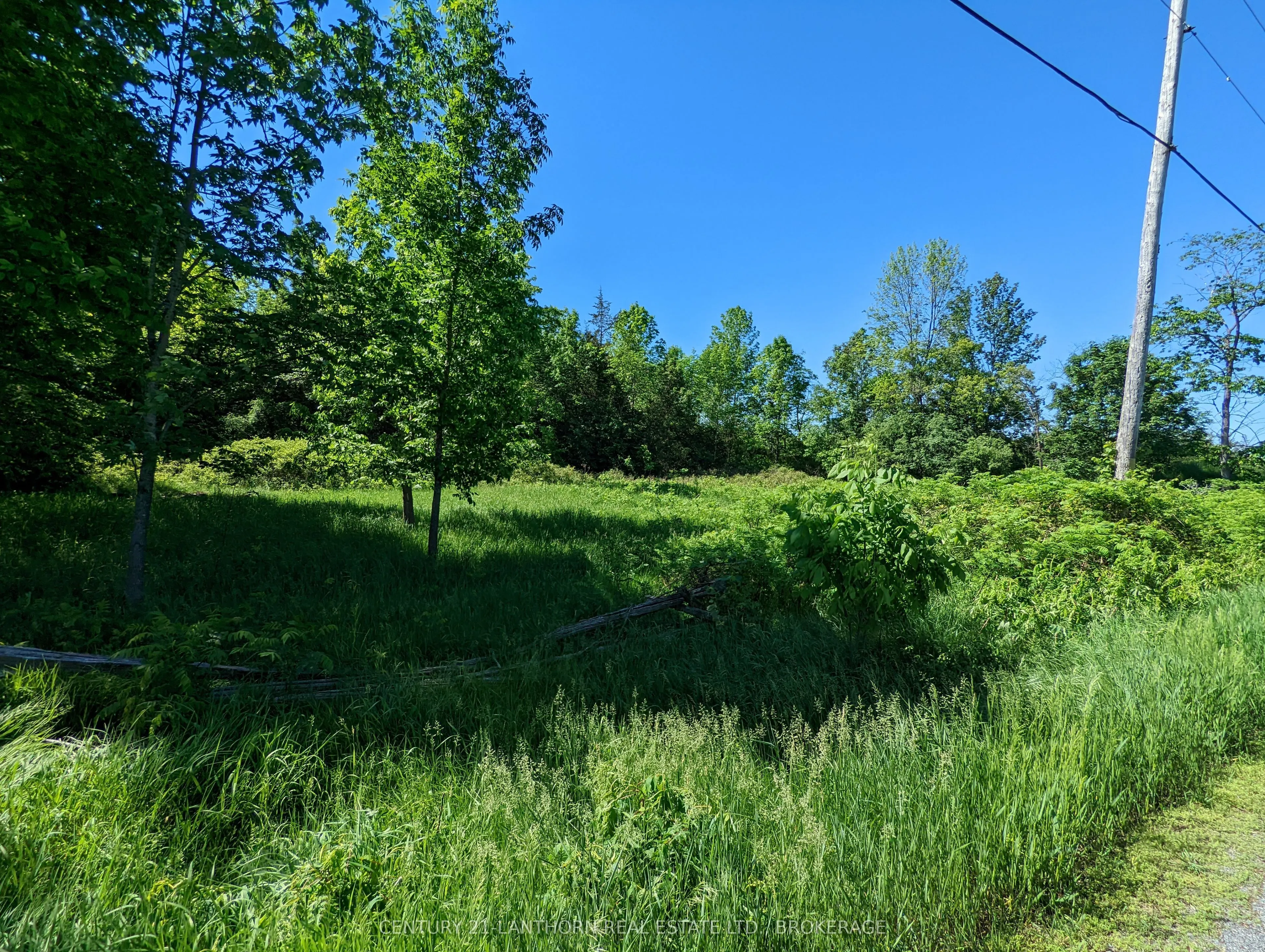 0 Pinegrove Road