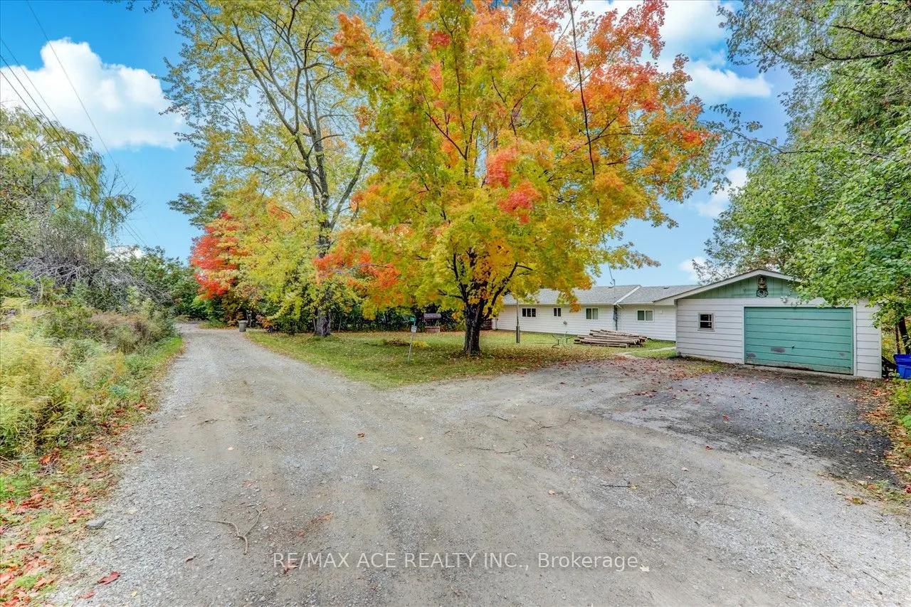 28 Osprey Road