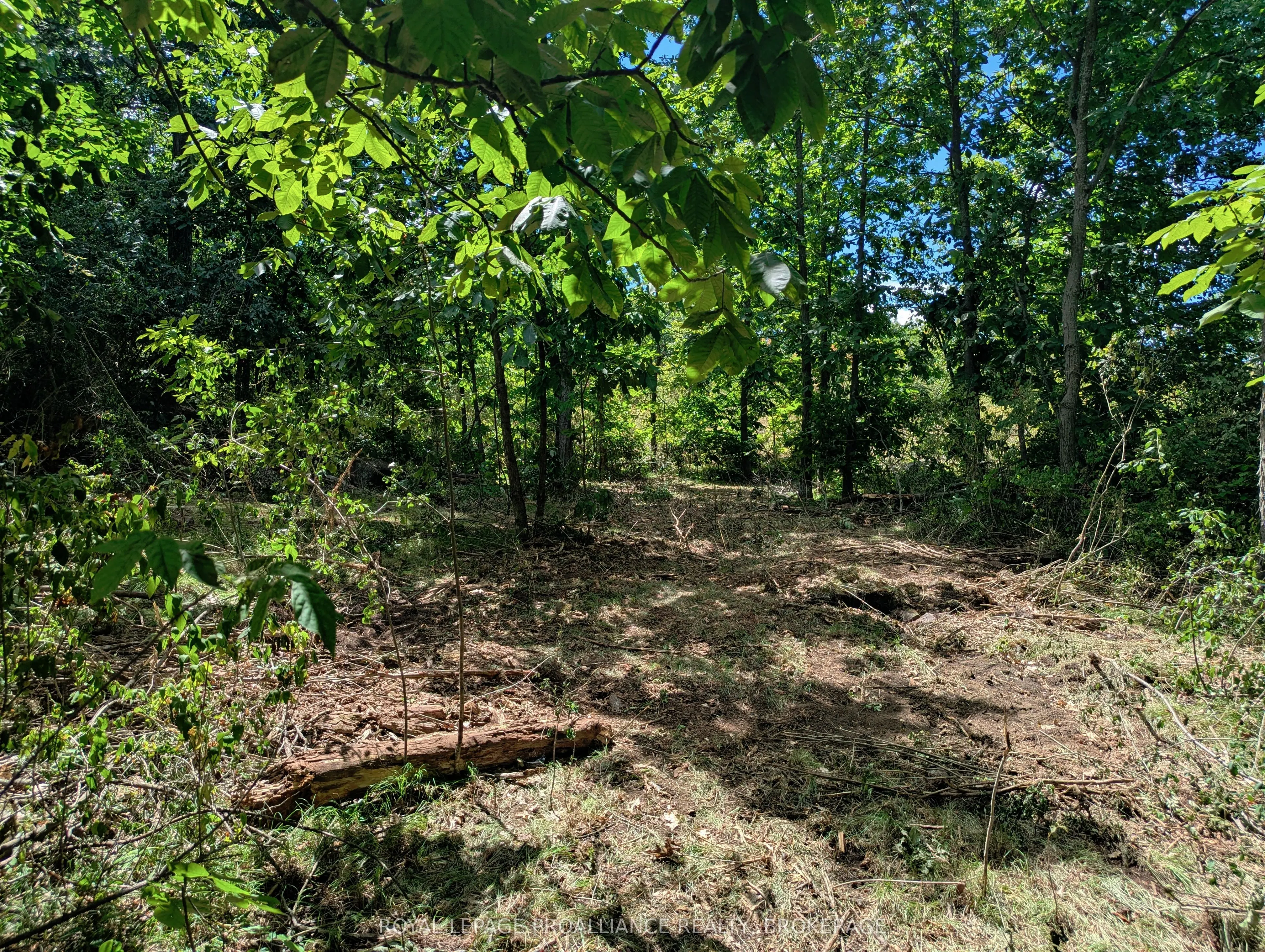 2620 4th Concession Road