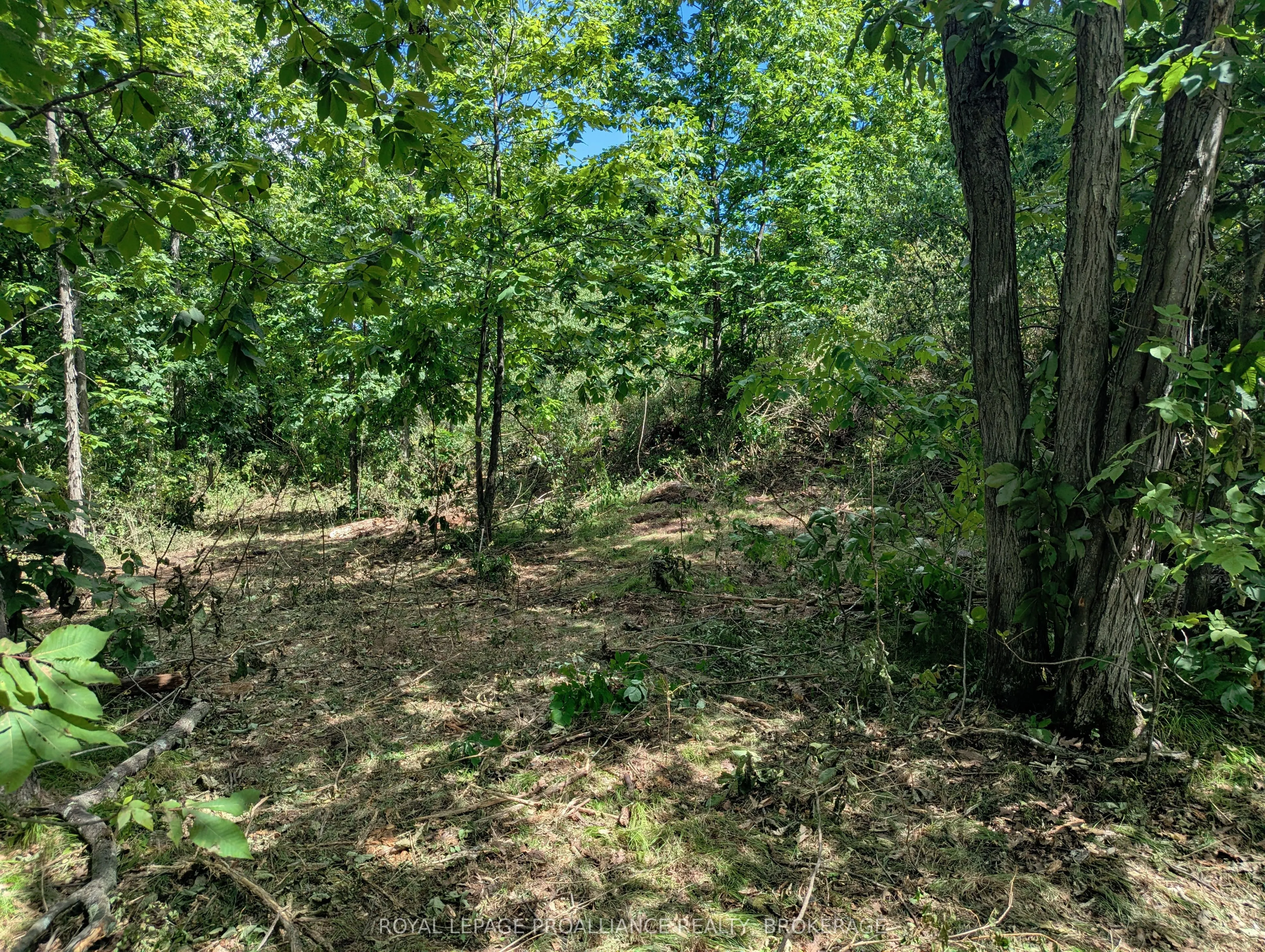 2620 4th Concession Road