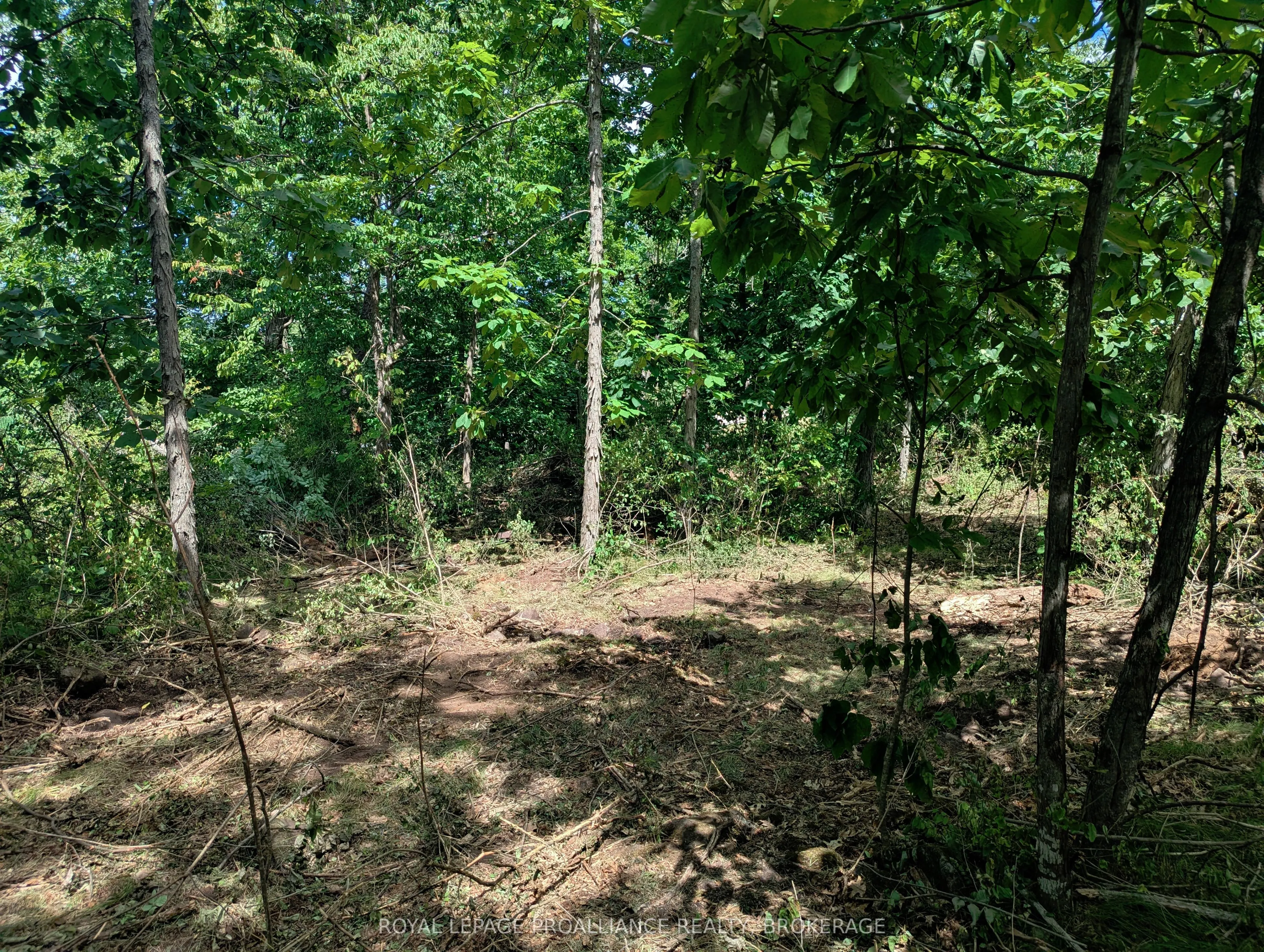 2620 4th Concession Road
