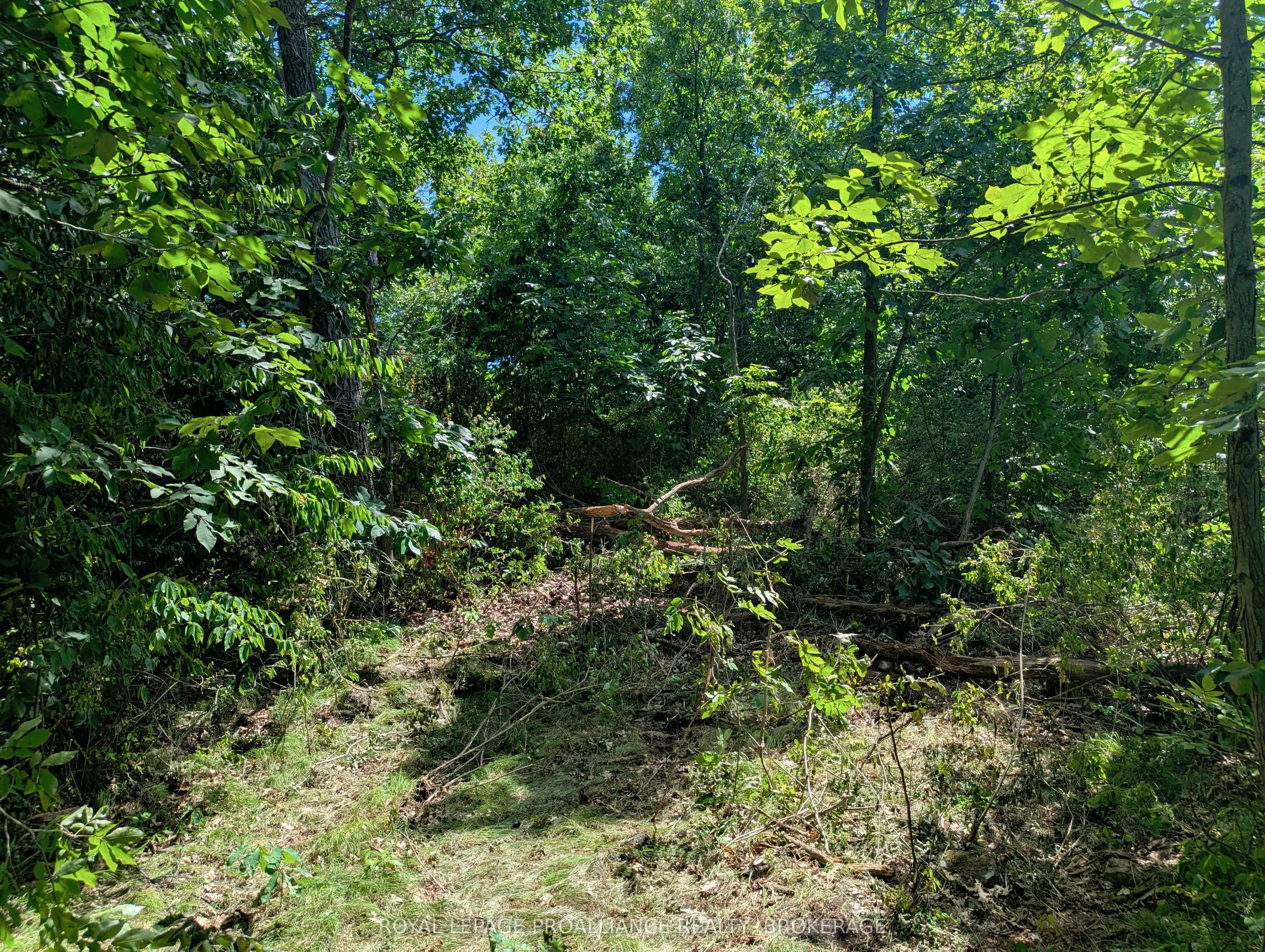 2620 4th Concession Road