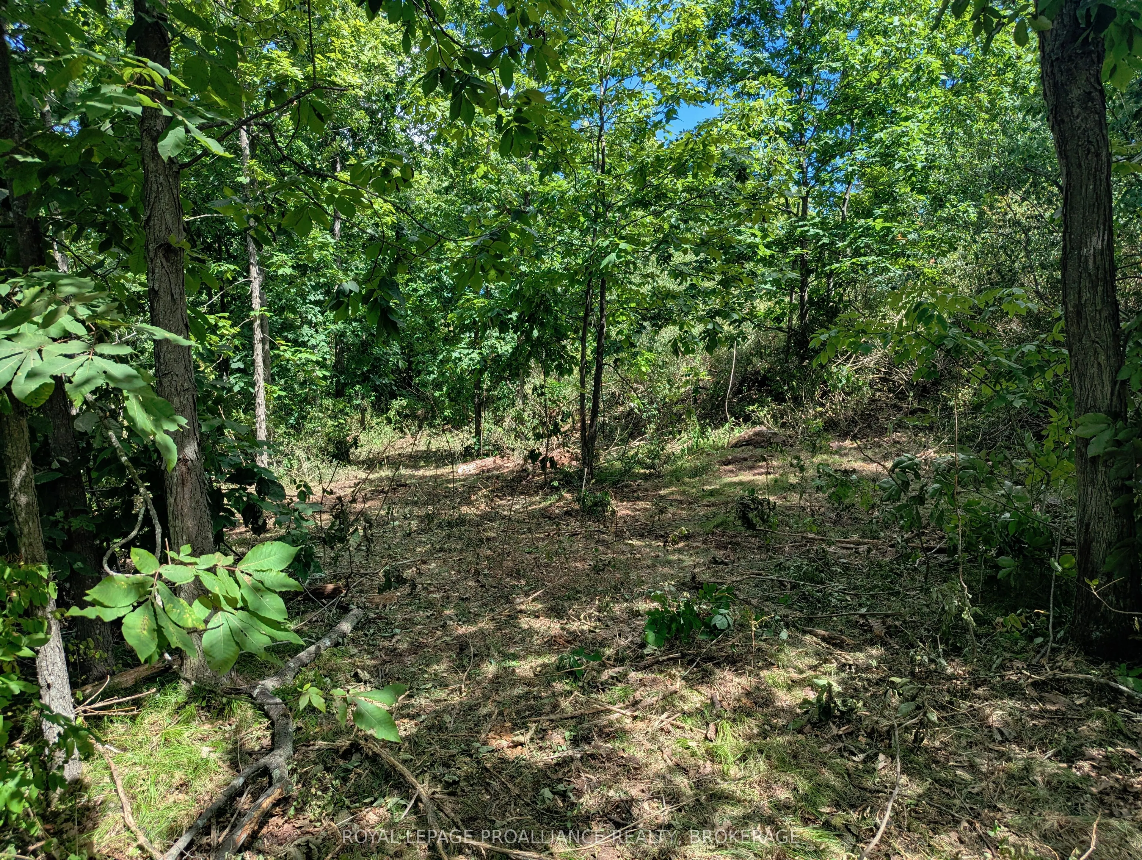 2620 4th Concession Road