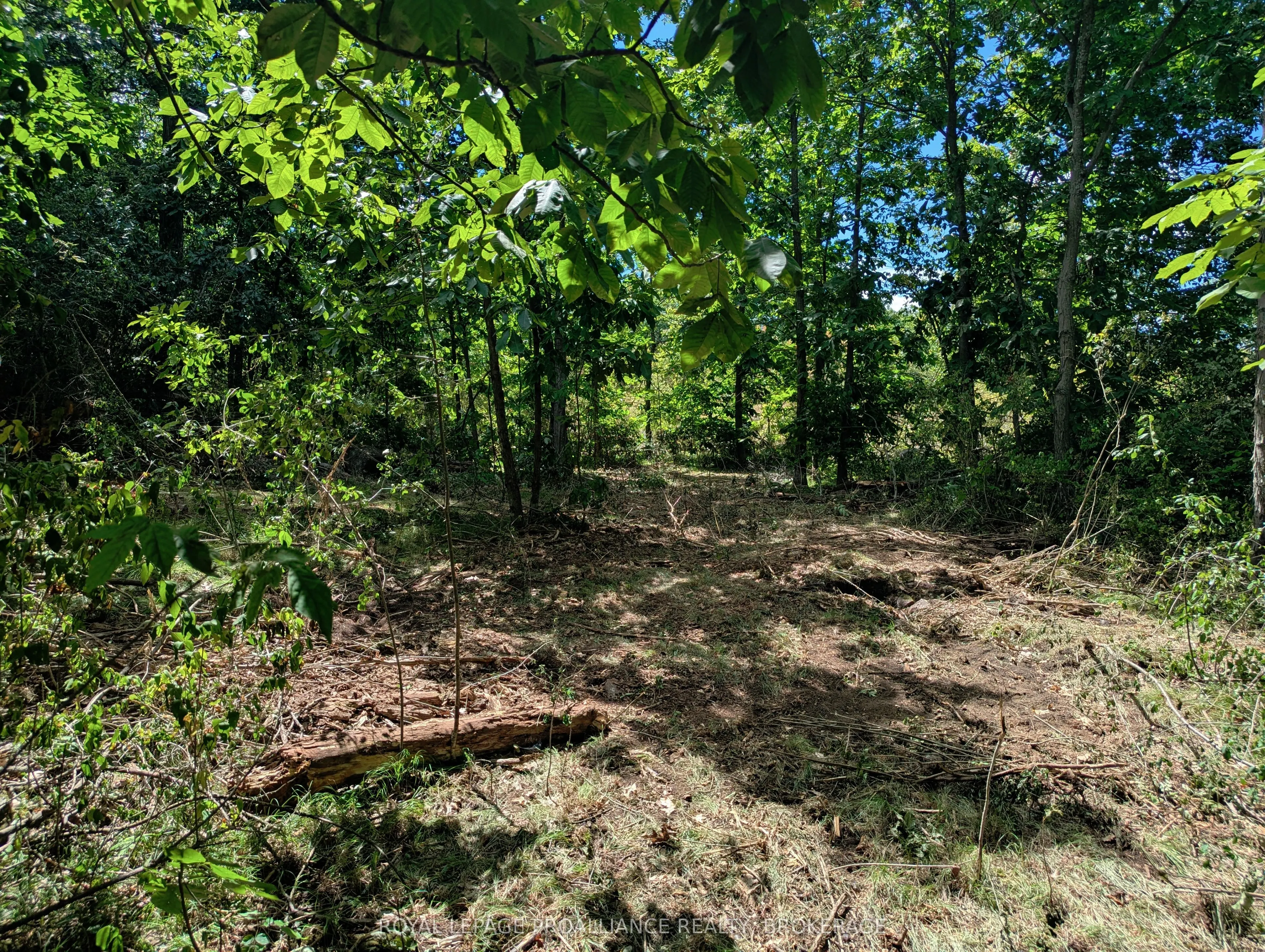 2620 4th Concession Road