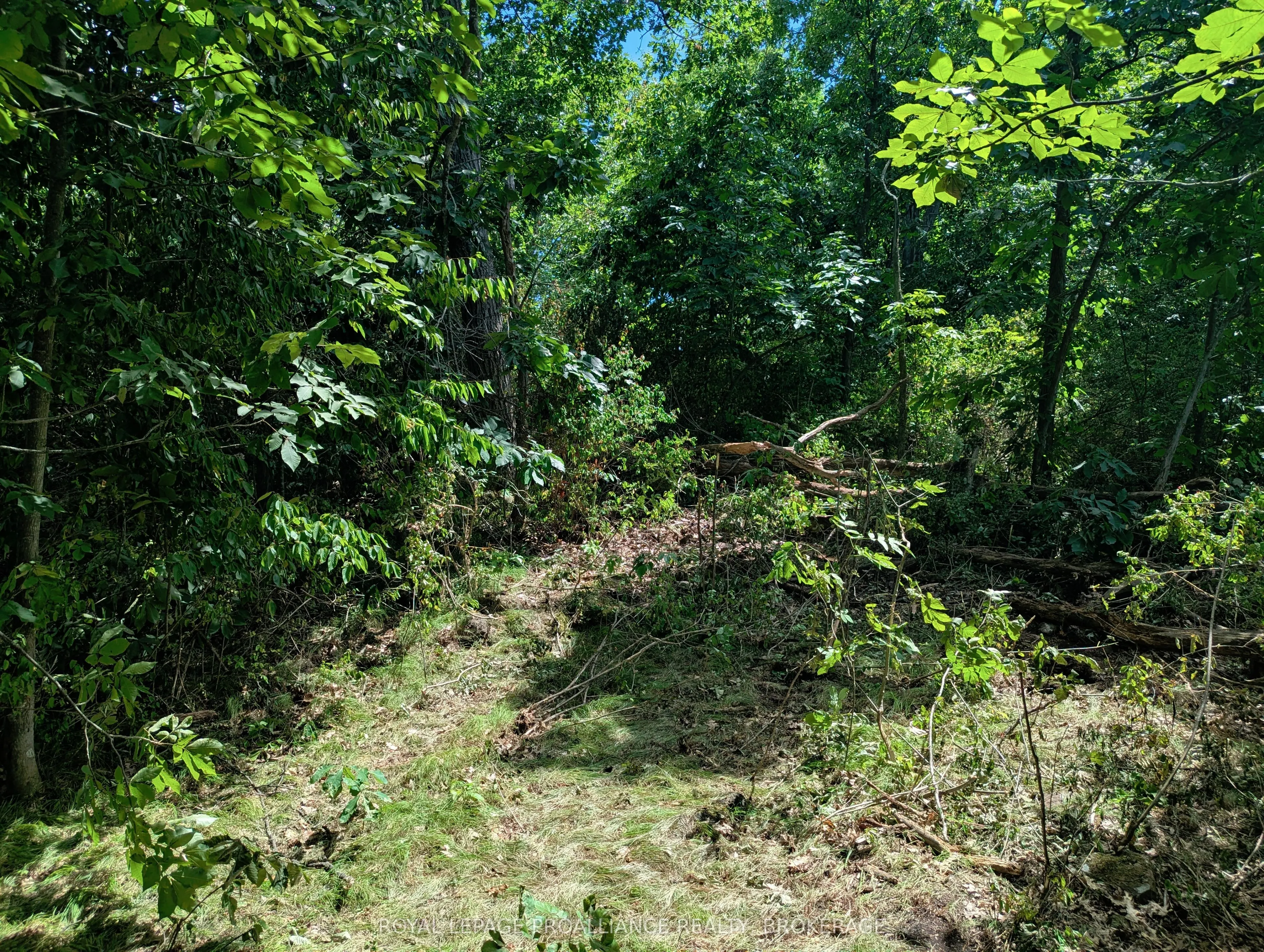 2620 4th Concession Road