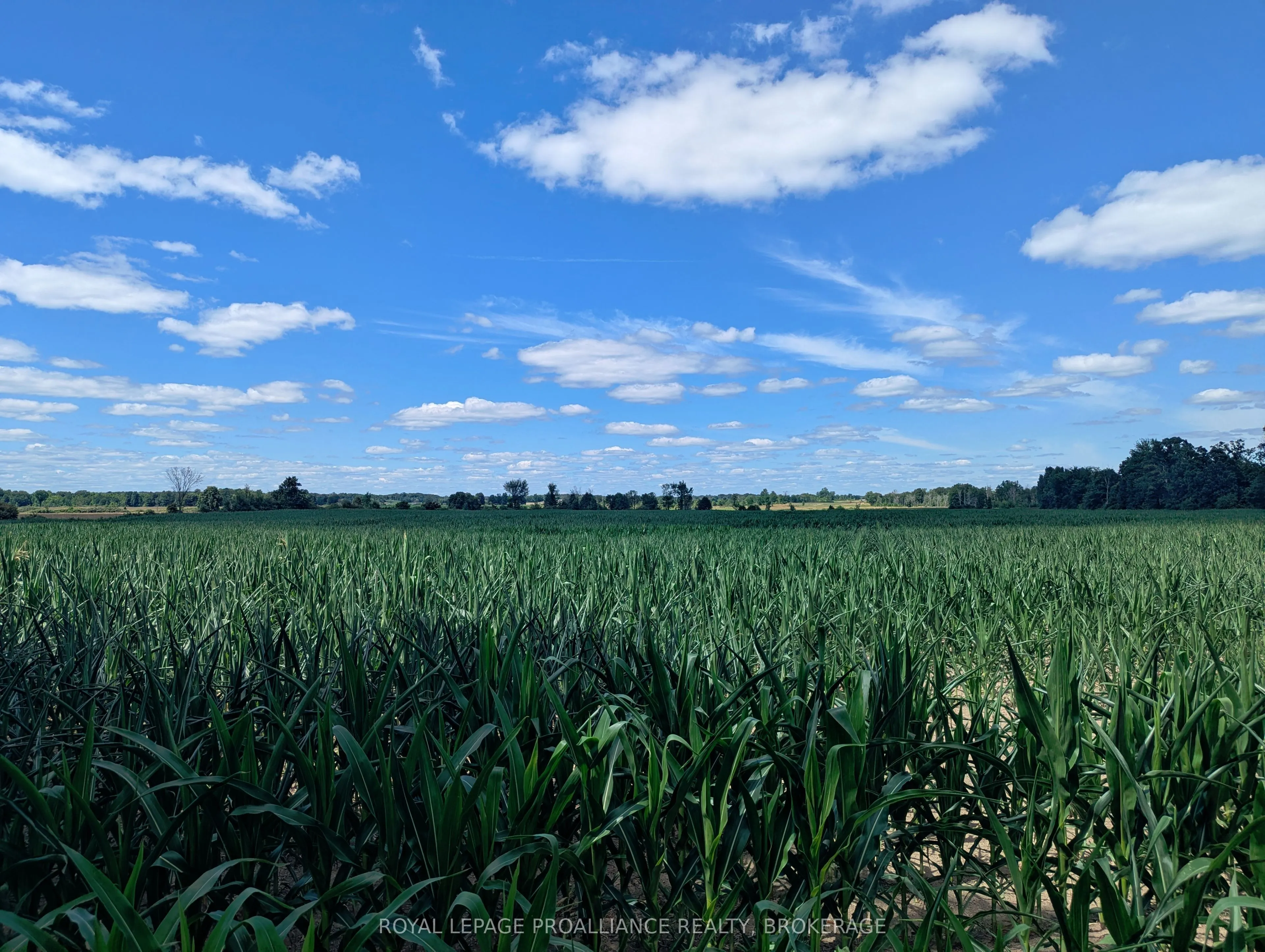 2620 4th Concession Road