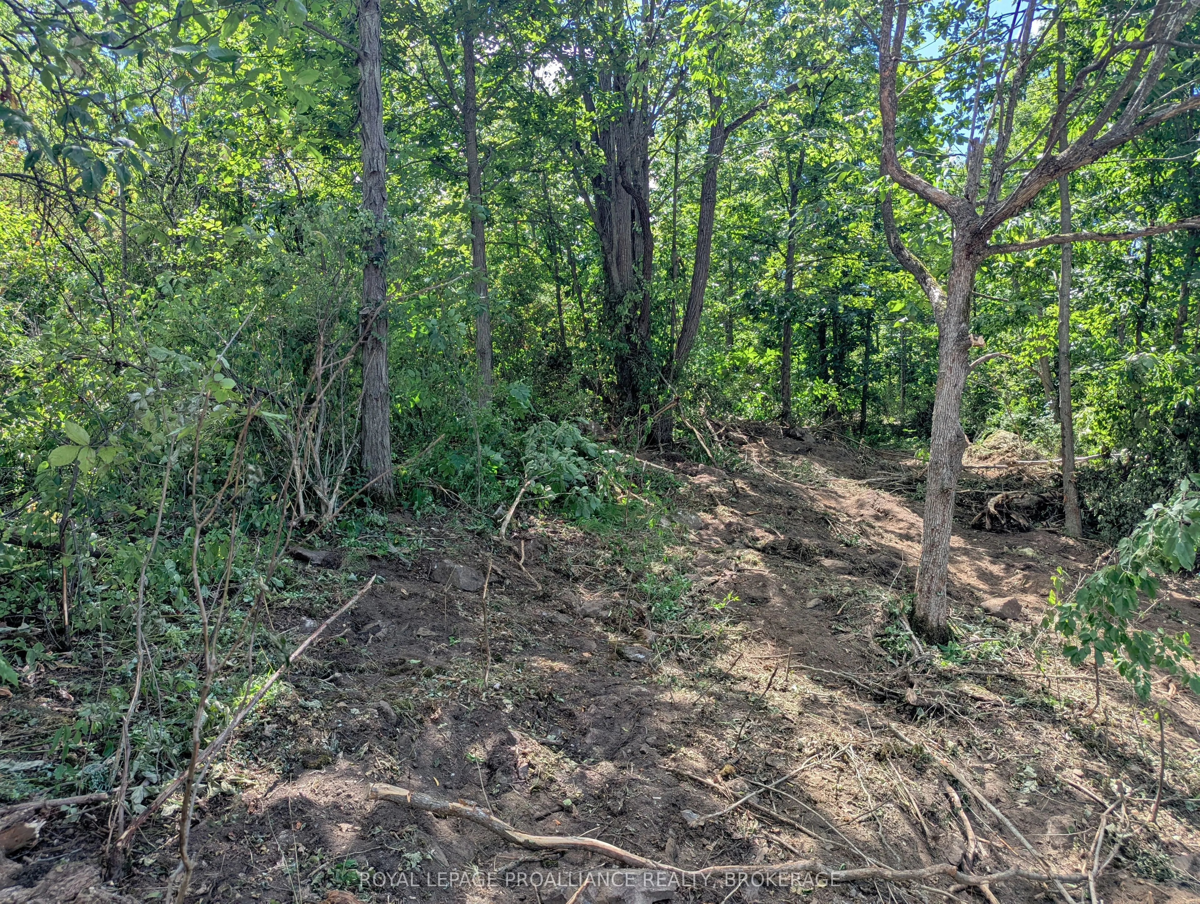 2620 4th Concession Road