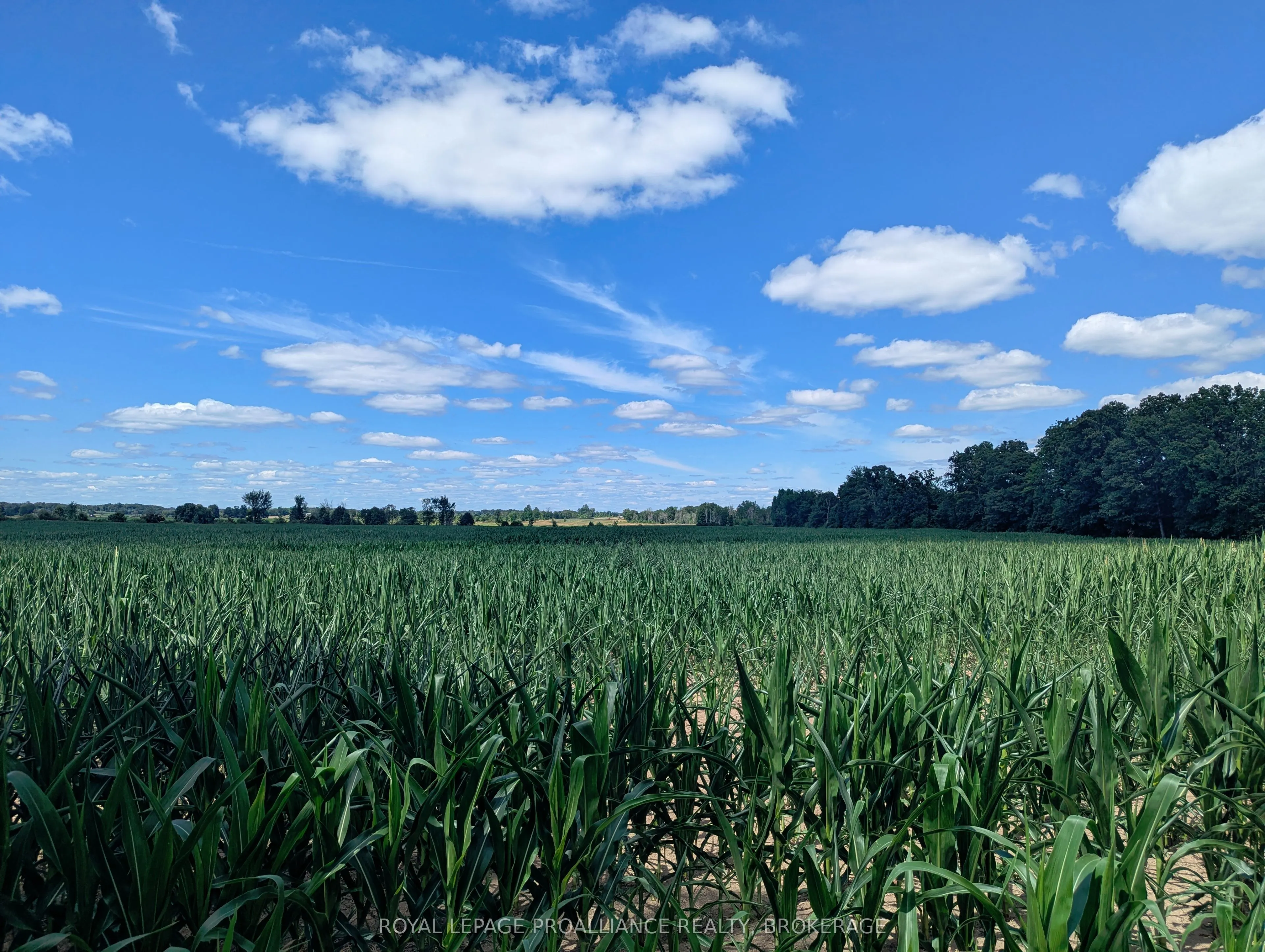 2620 4th Concession Road