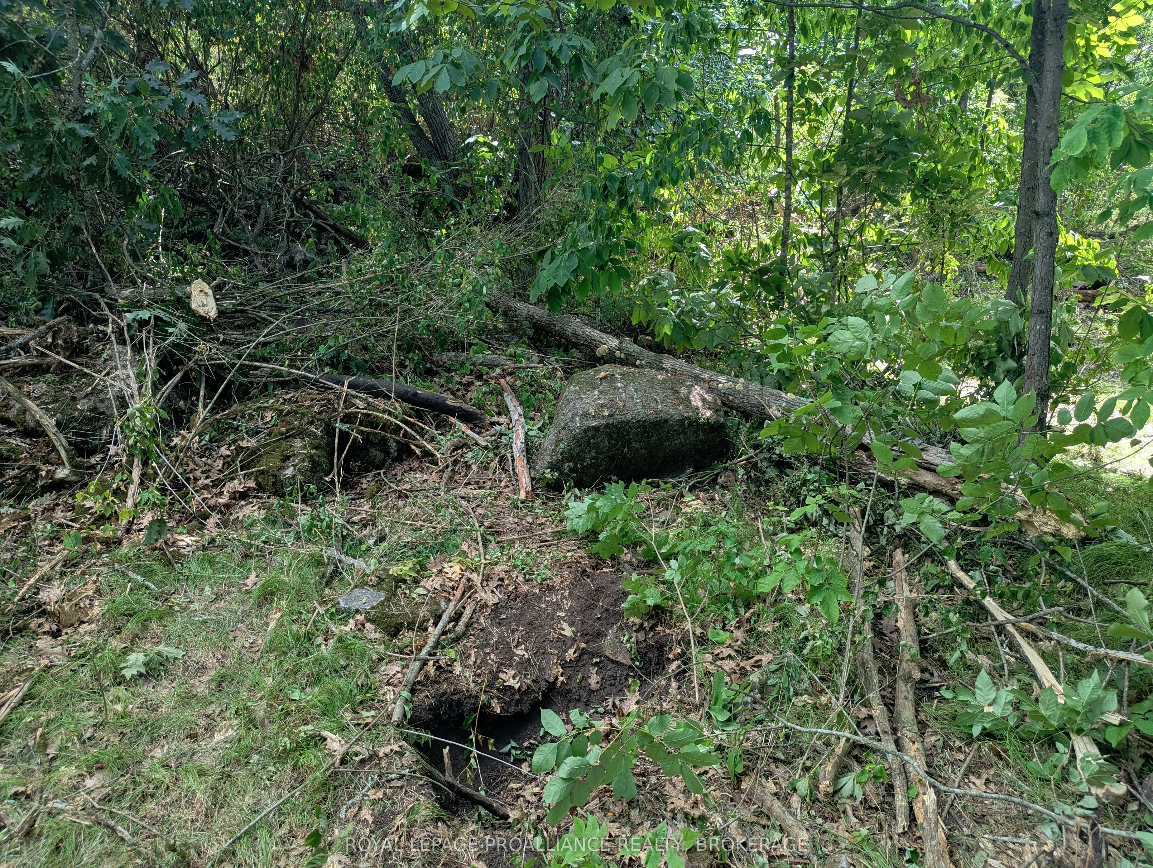 2620 4th Concession Road