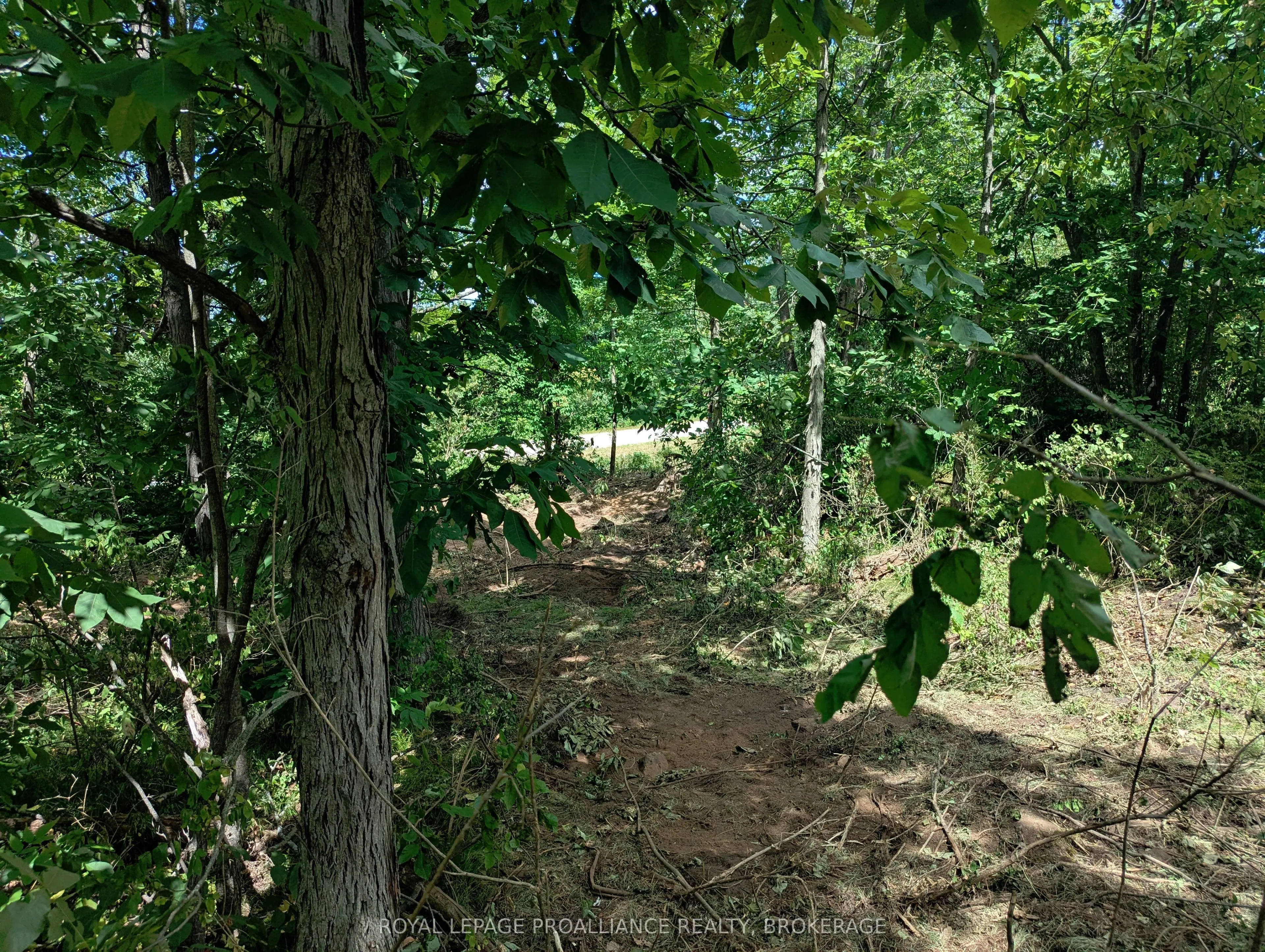 2620 4th Concession Road