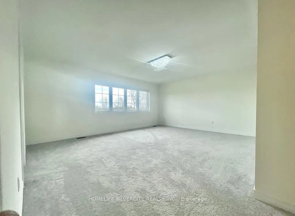 111 Oak Avenue