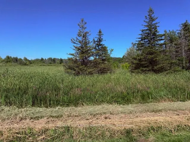 LOT County Road 31 Road