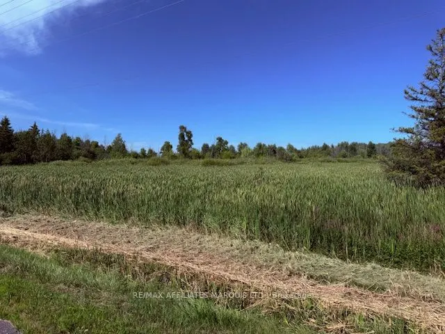 LOT County Road 31 Road