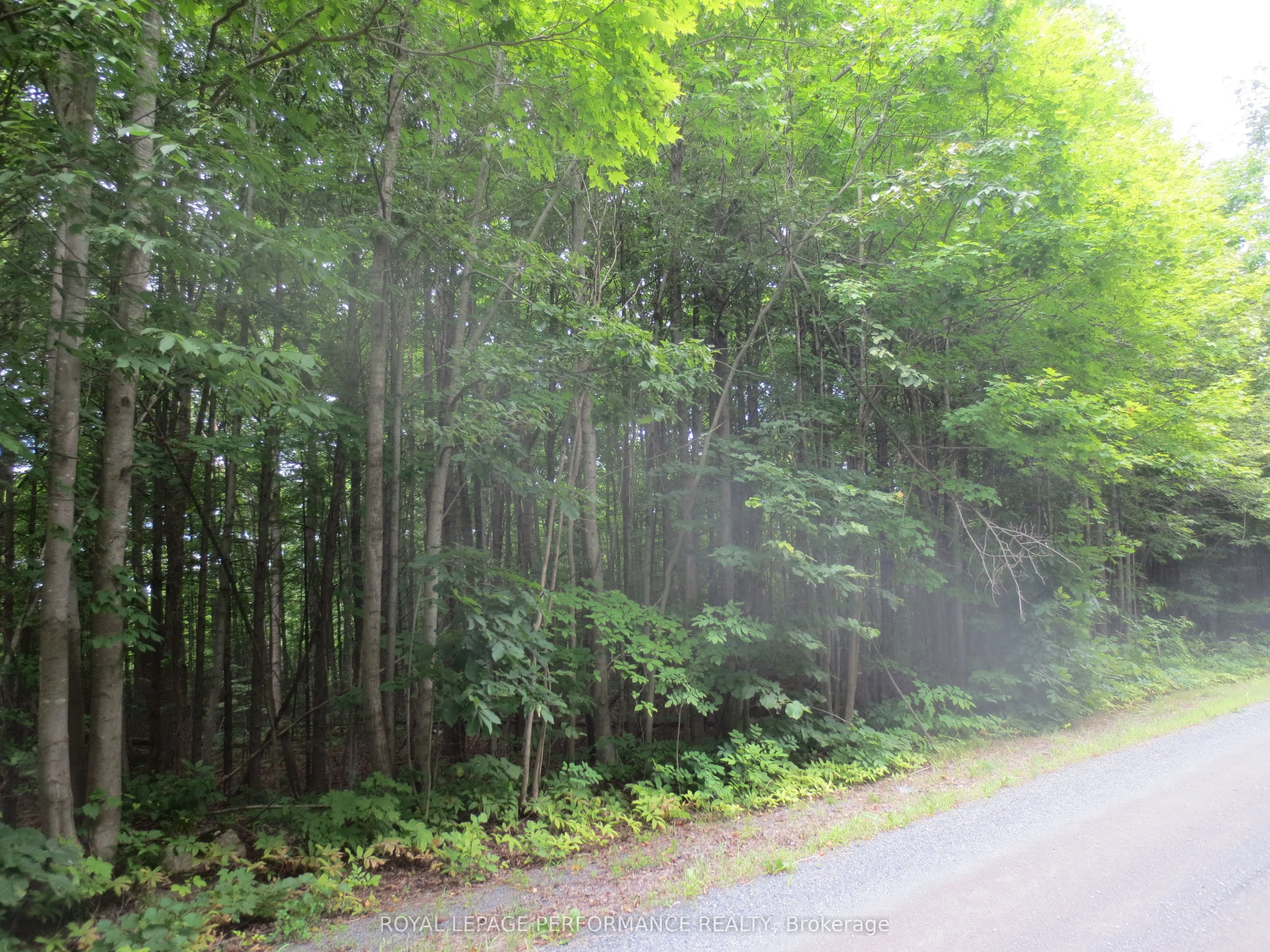 21625 Concession Rd 10 Road