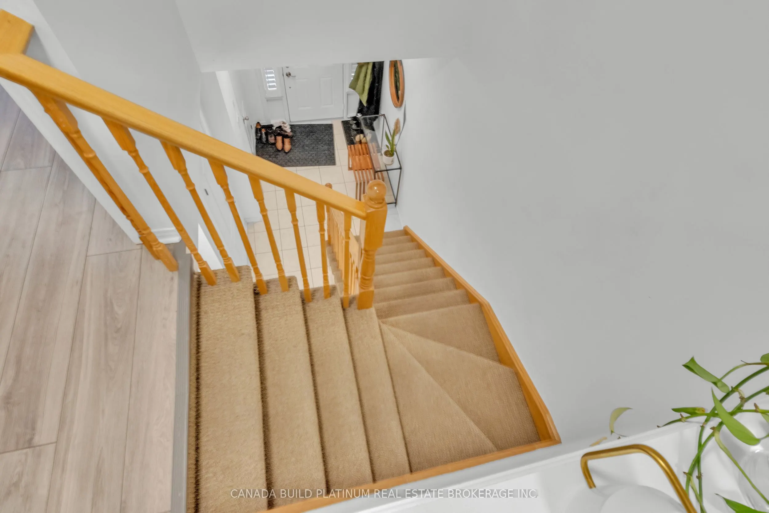 80 Palacebeach Trail