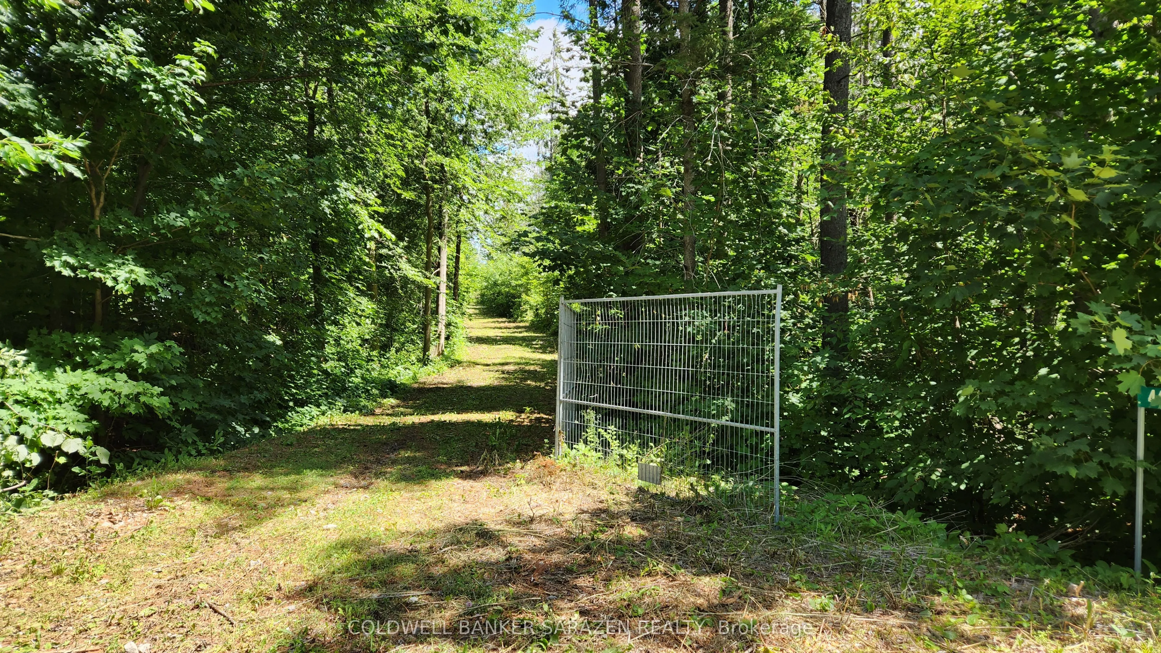 446 Campbell Dr Drive
