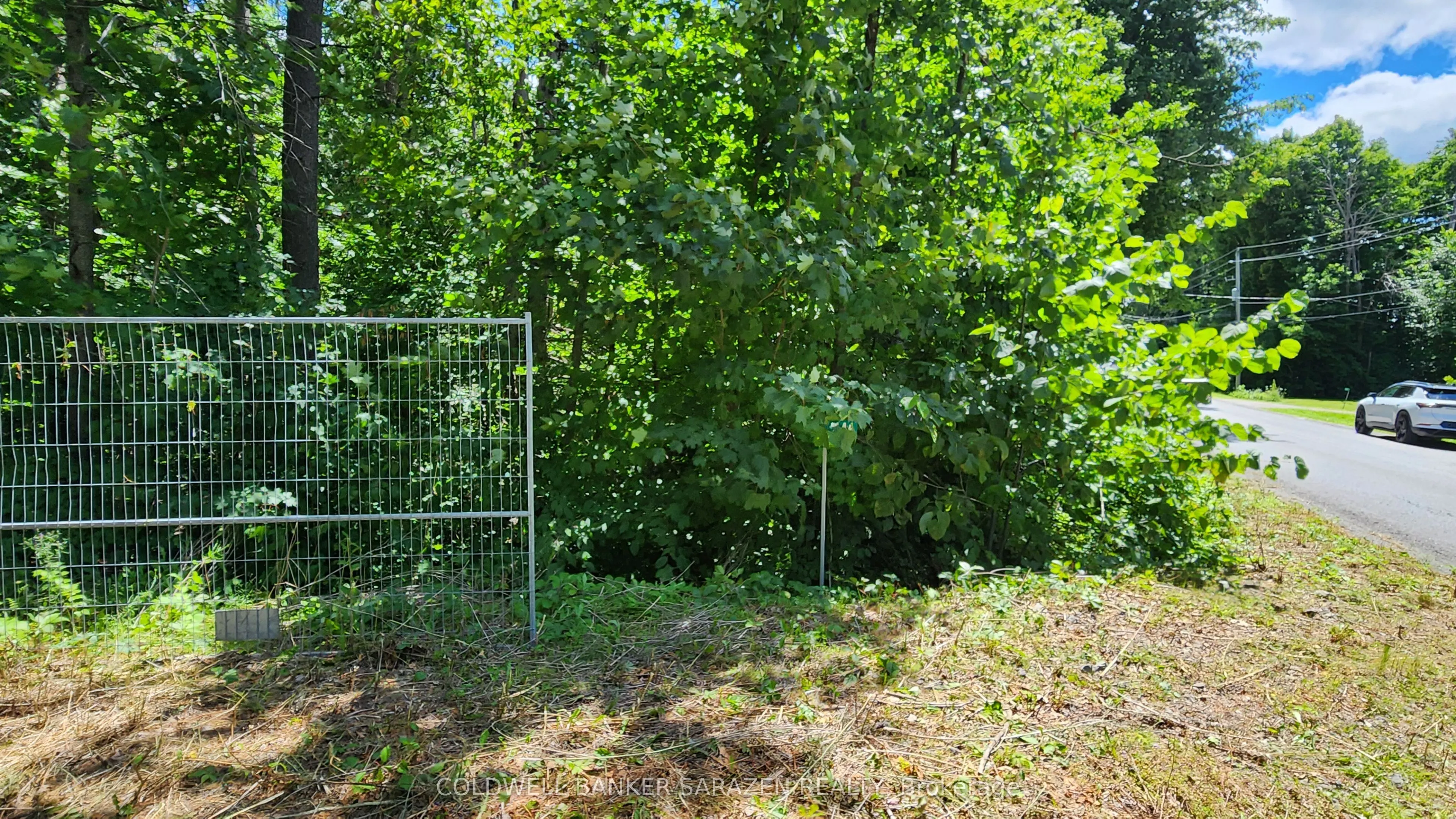 446 Campbell Dr Drive