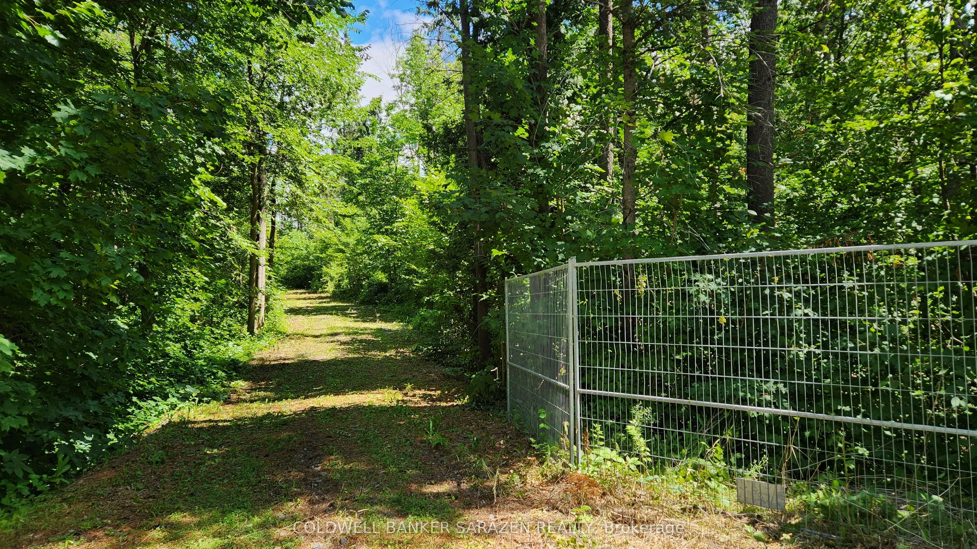 446 Campbell Dr Drive