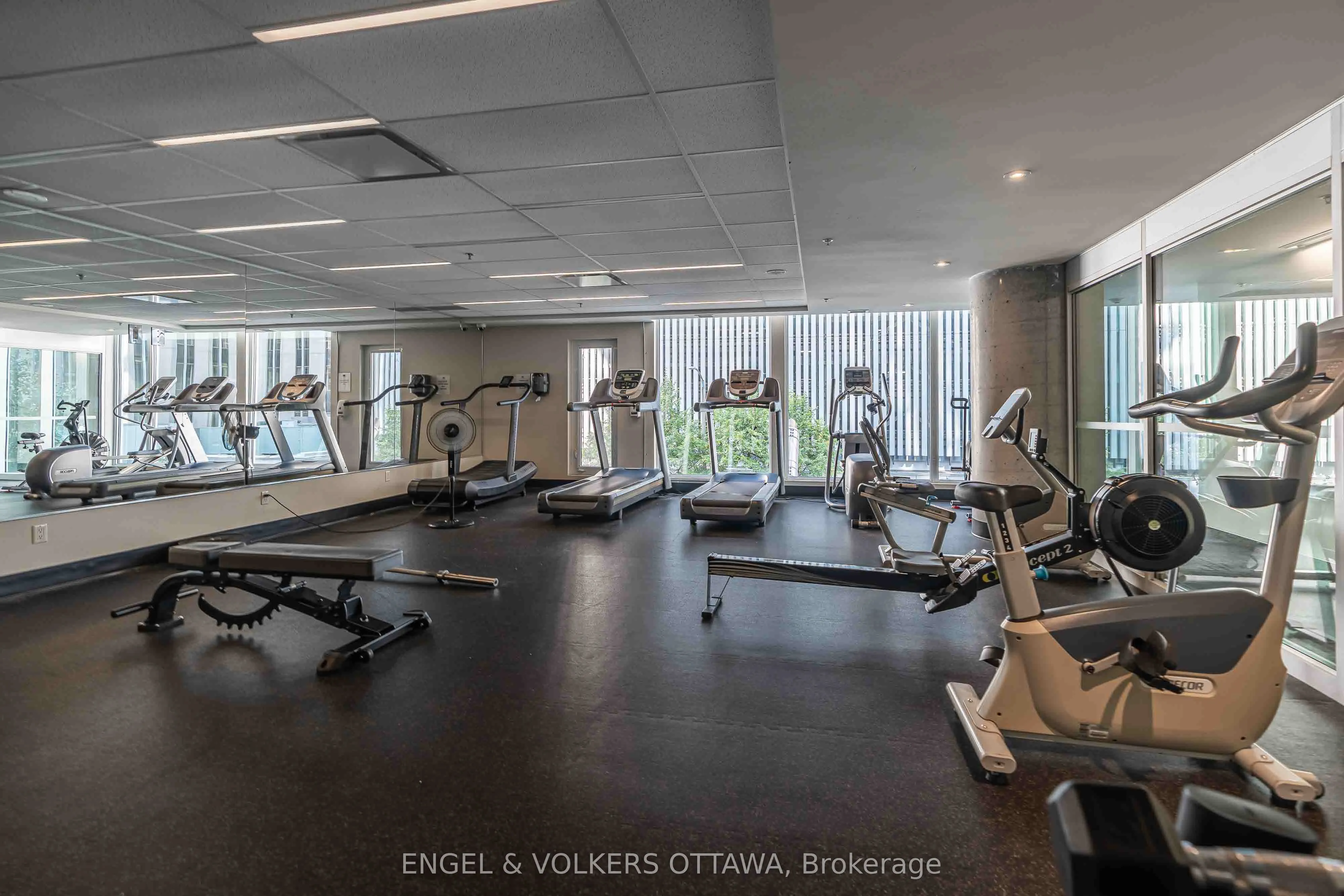 197 lisgar Street #218