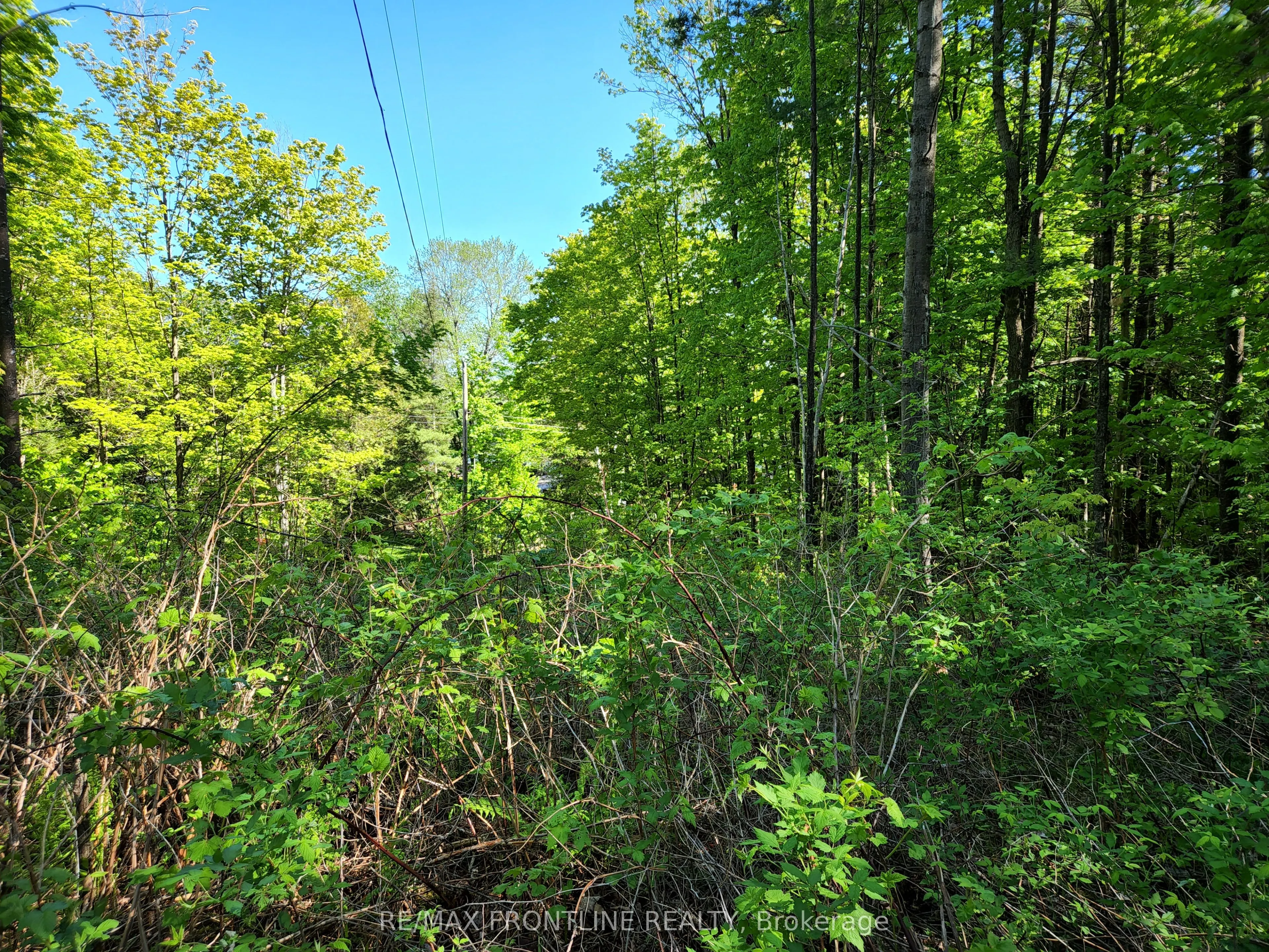 28578 Hwy 7 Highway