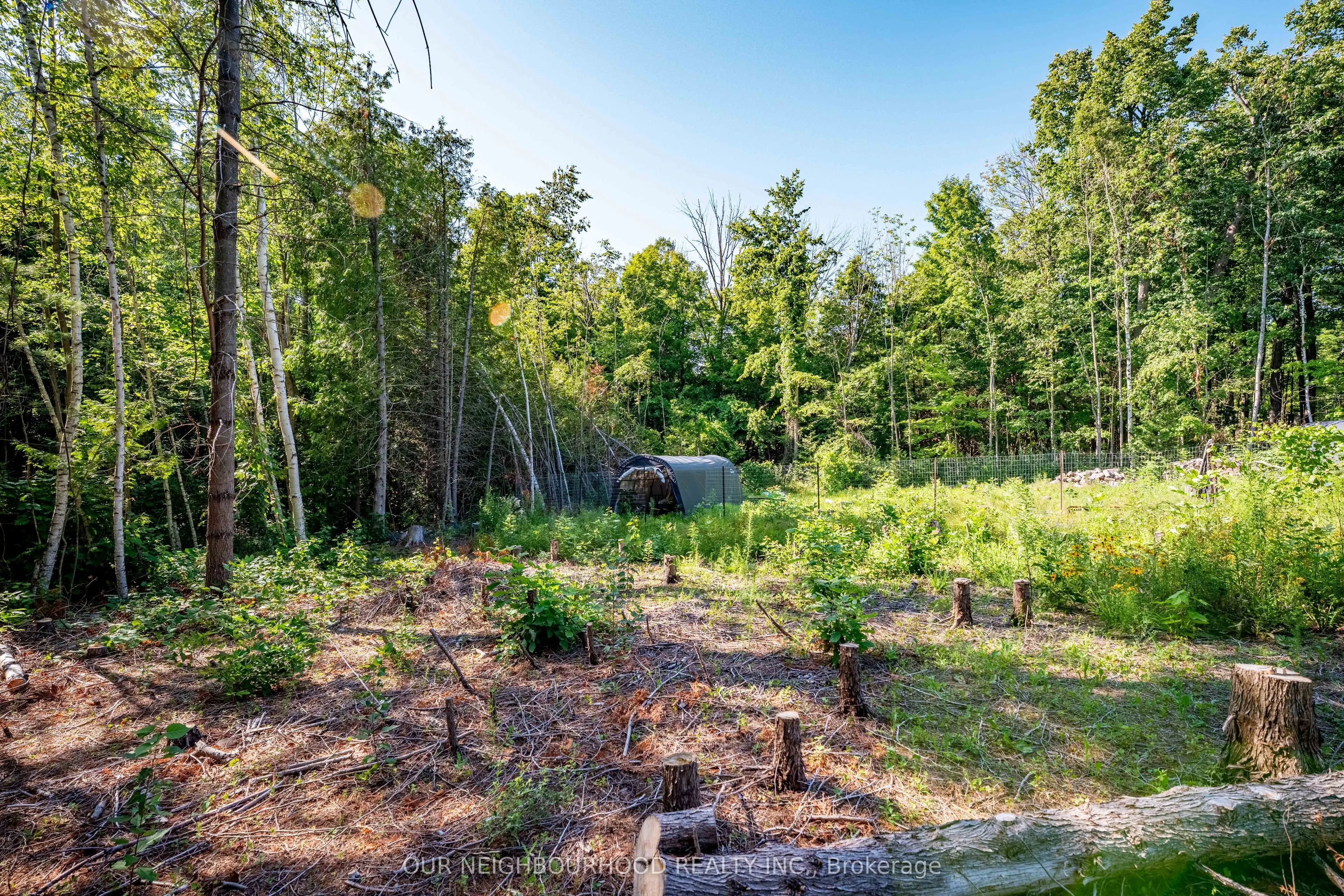 114 BAXTER Road