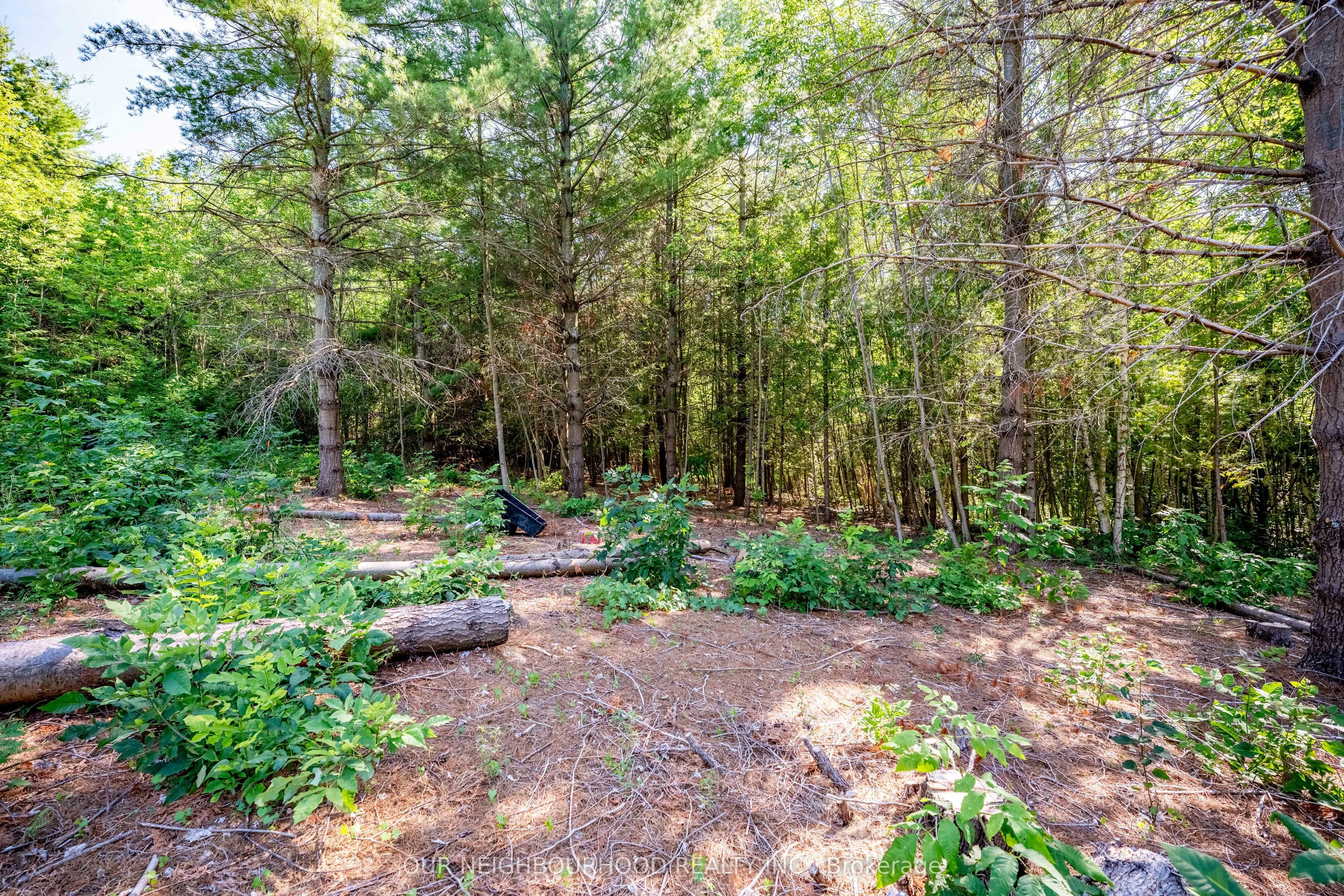 114 BAXTER Road
