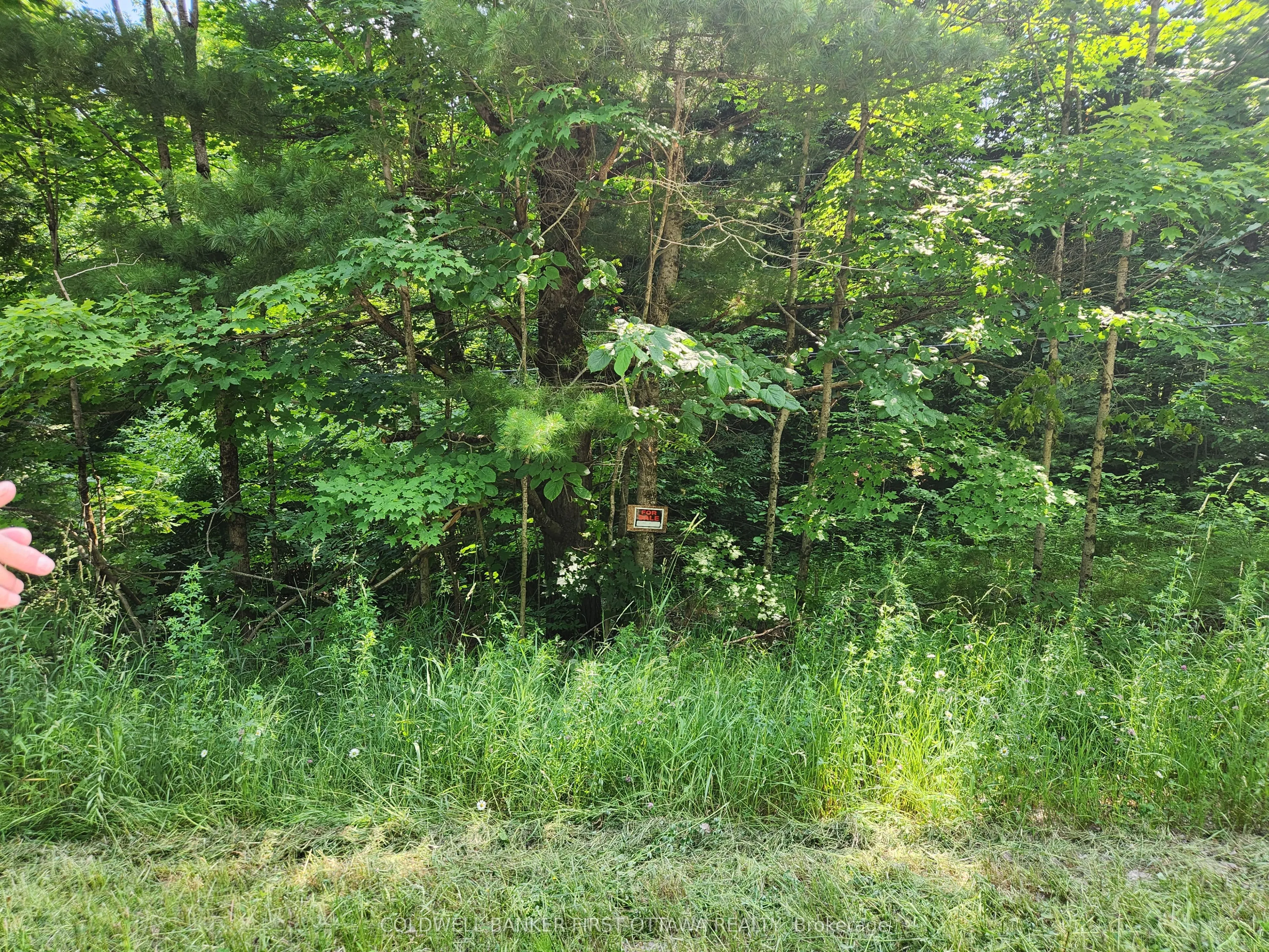 115 Doran Road