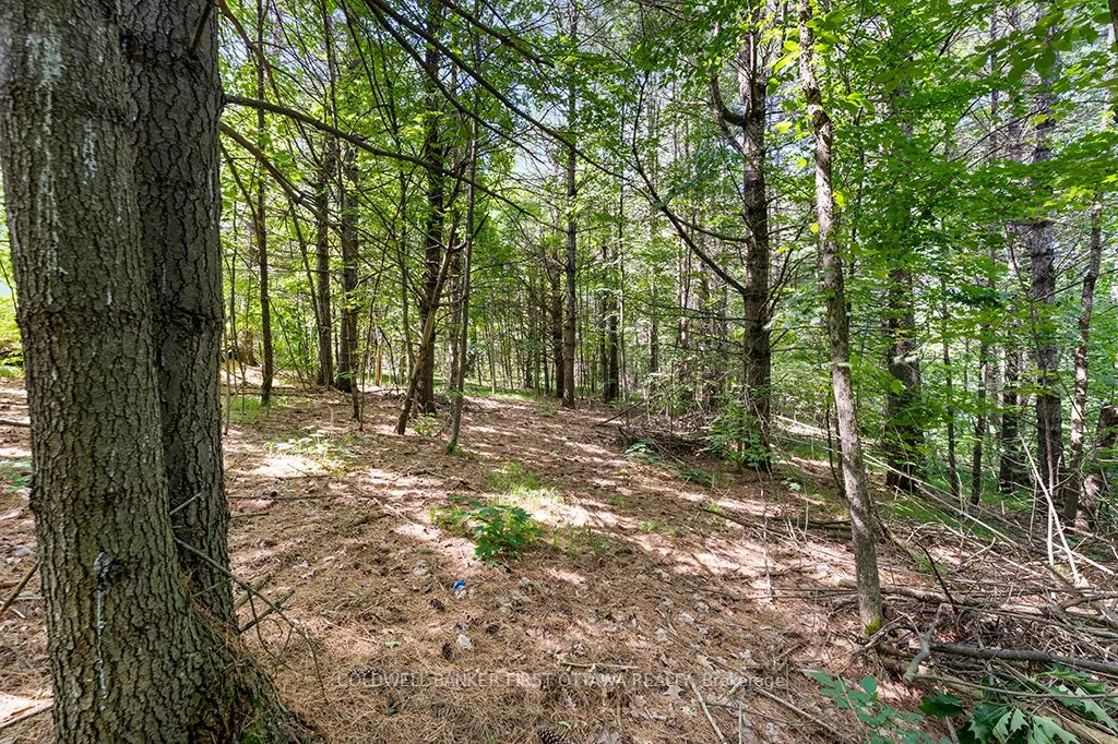 115 Doran Road