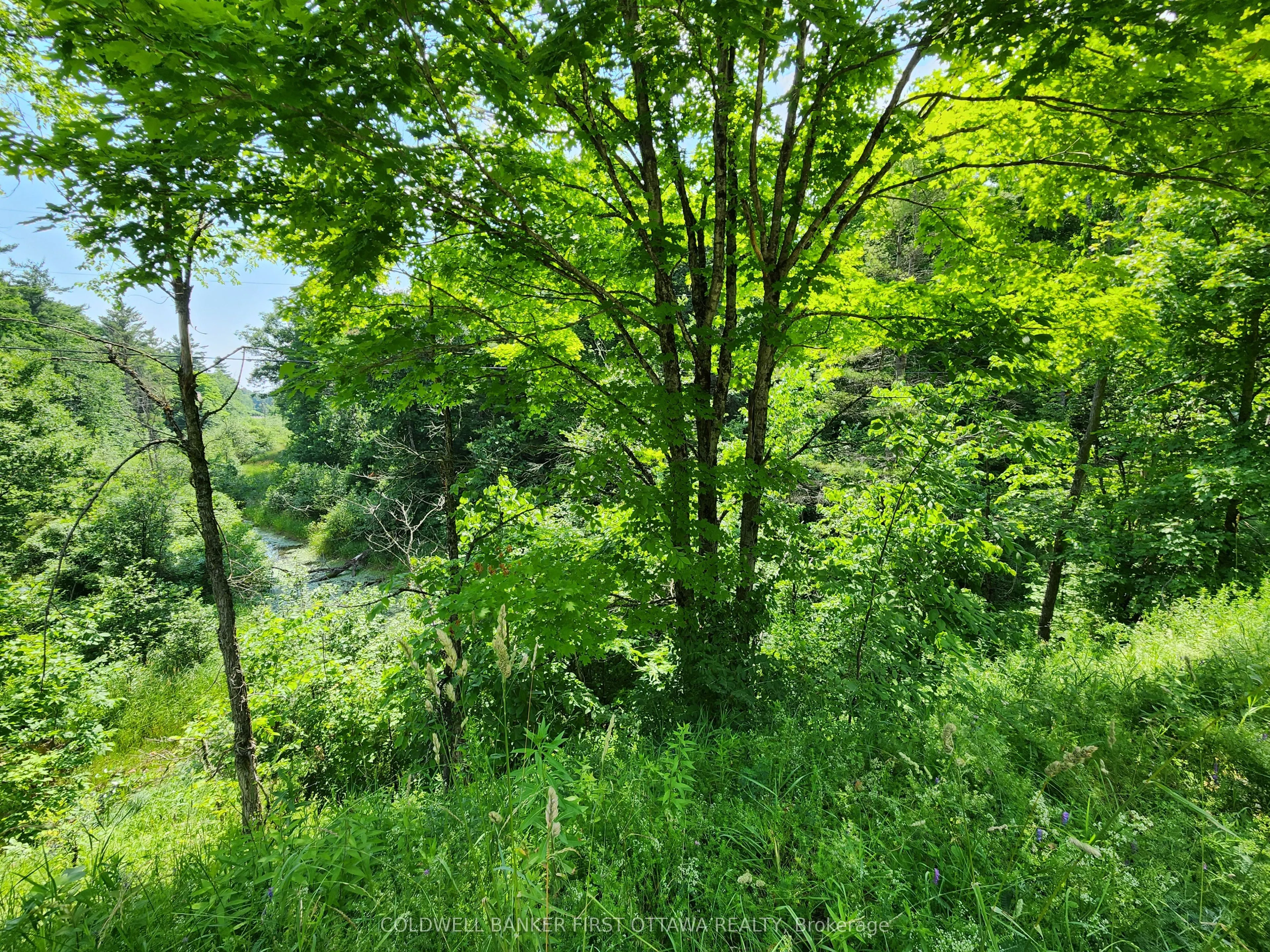 115 Doran Road