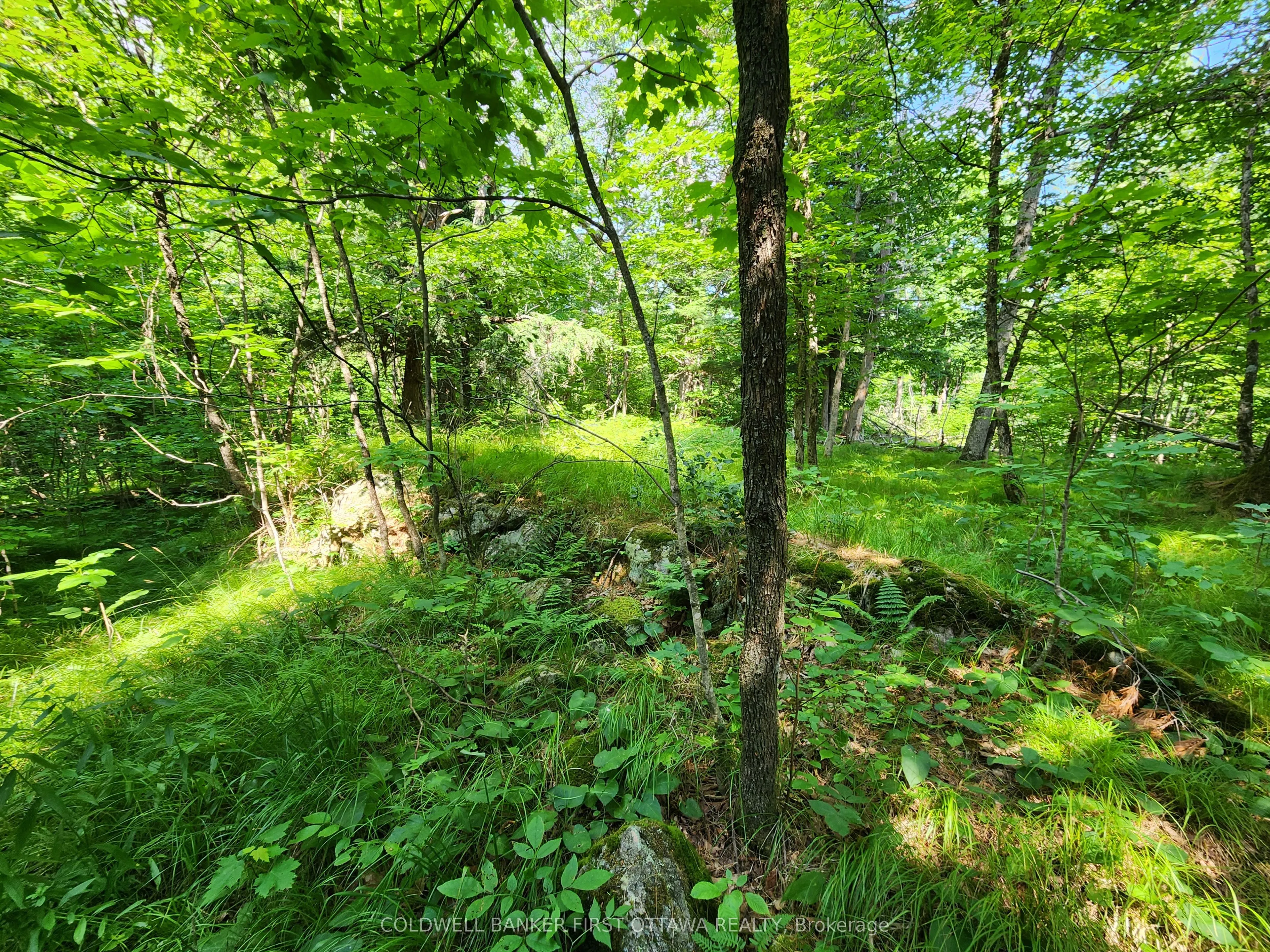 115 Doran Road