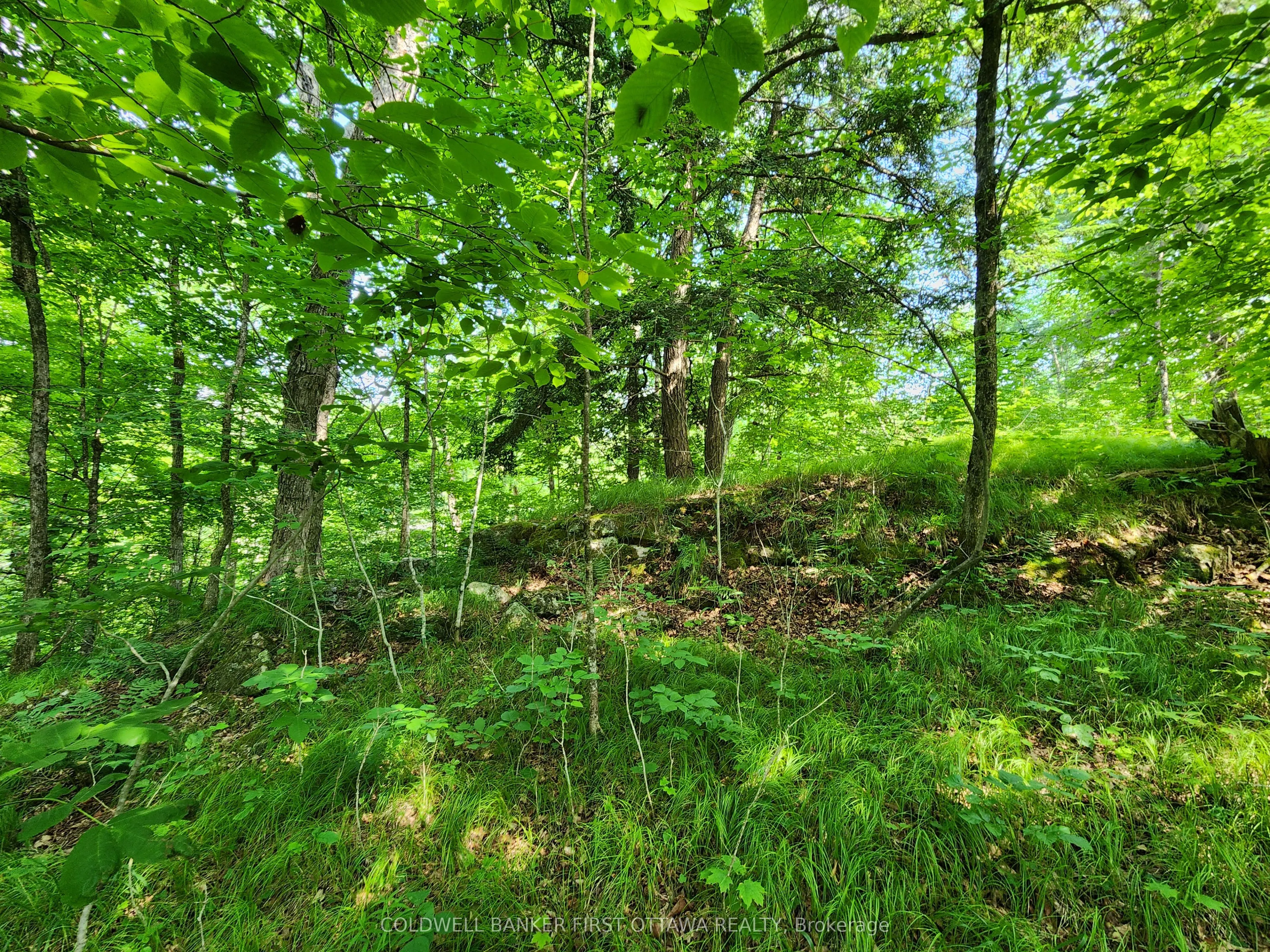 115 Doran Road