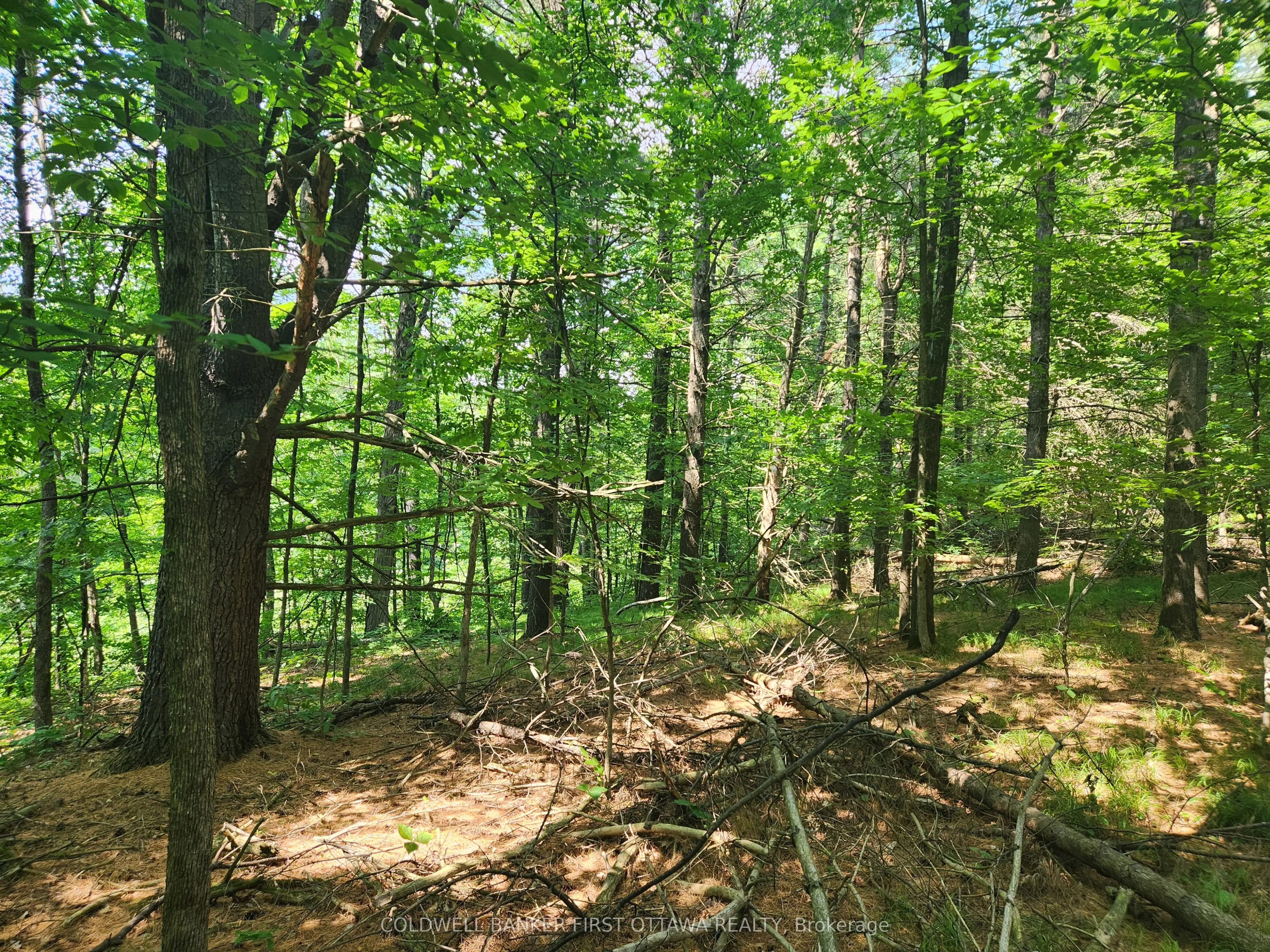 115 Doran Road