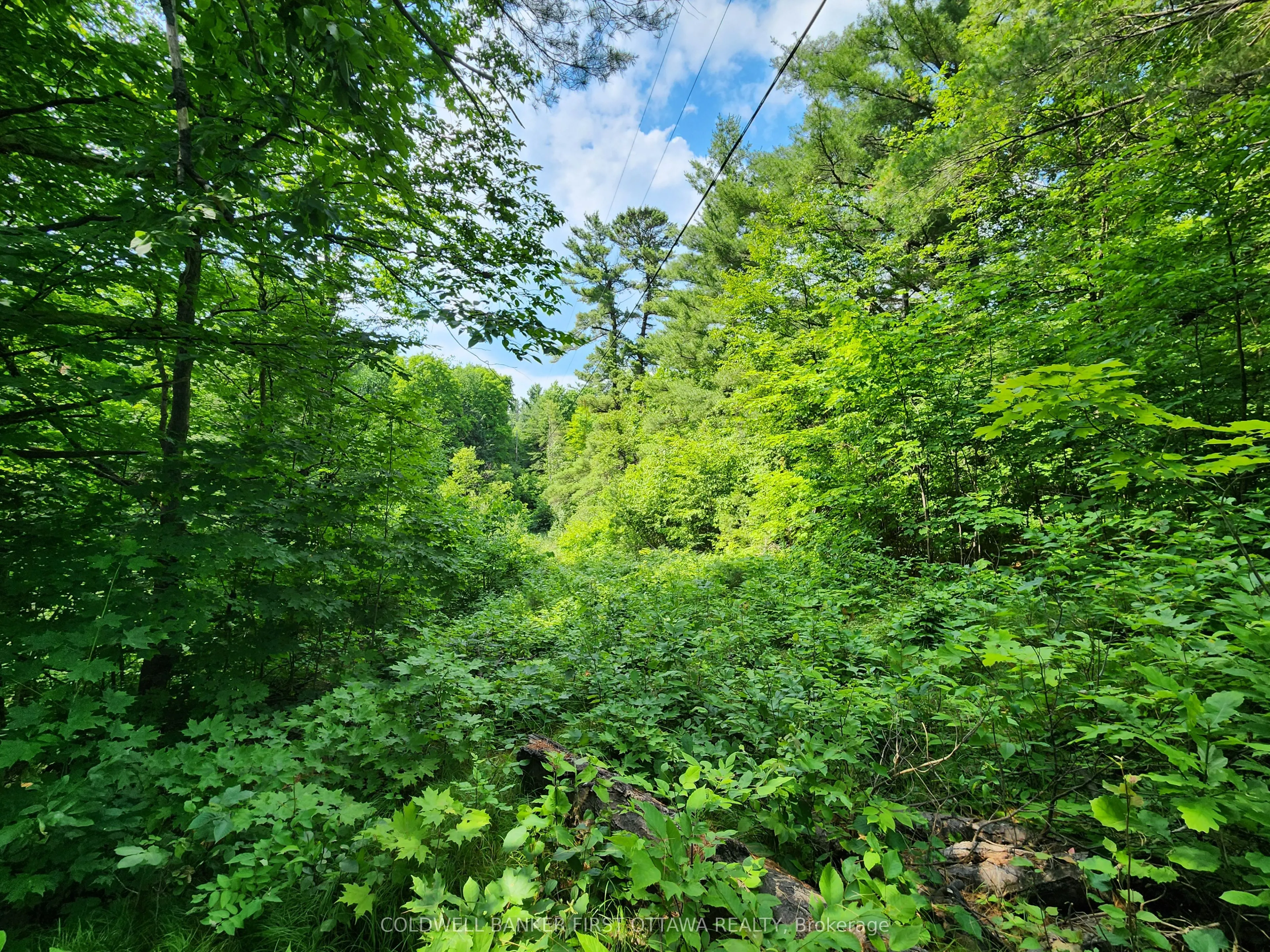 115 Doran Road