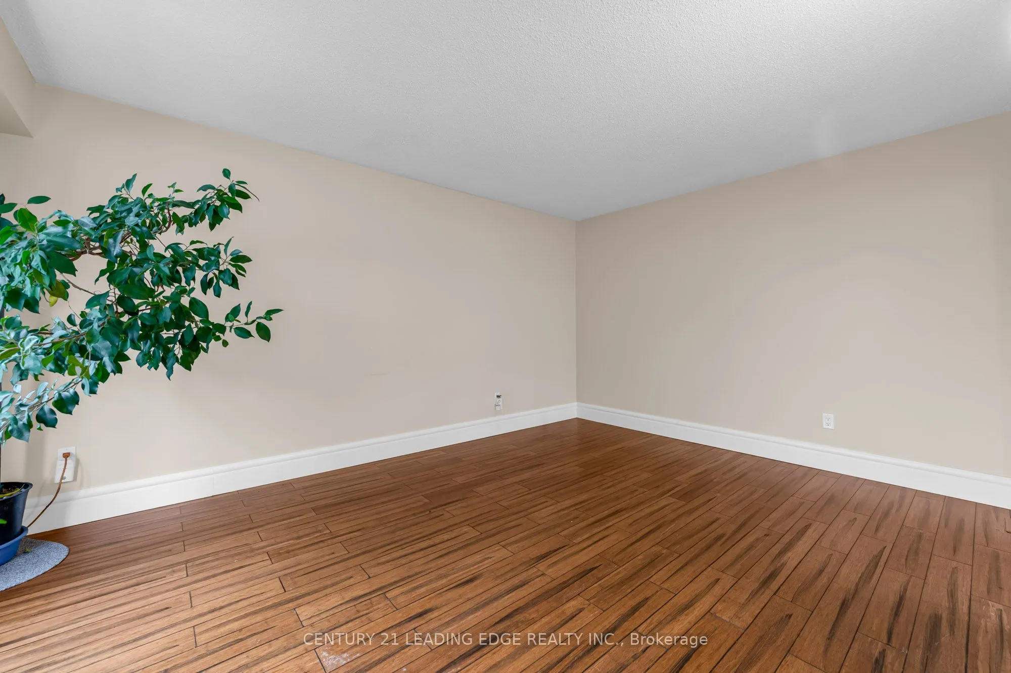 636 Crescent Road