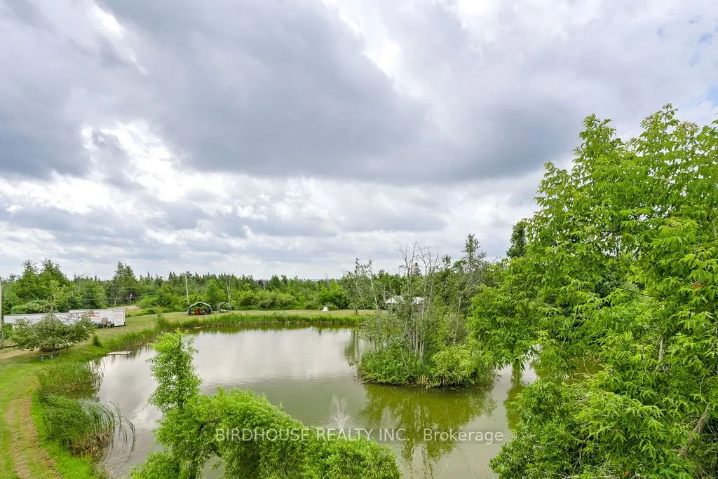 175 County Road 49
