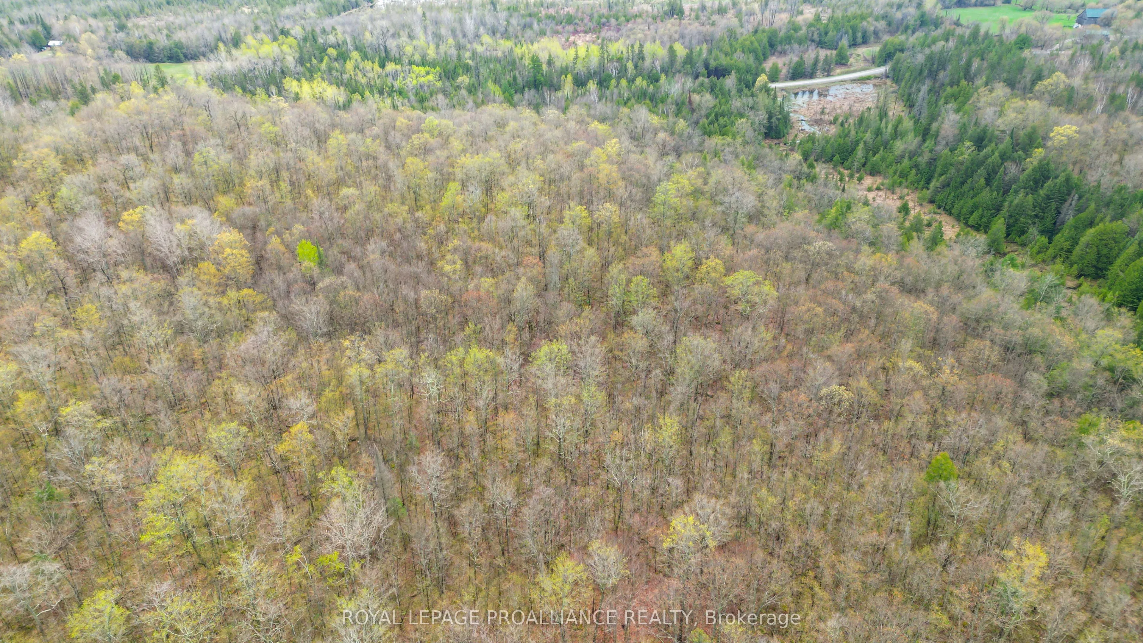 0 Spry Settlement Road