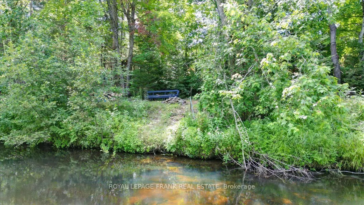 119 McFadden Road