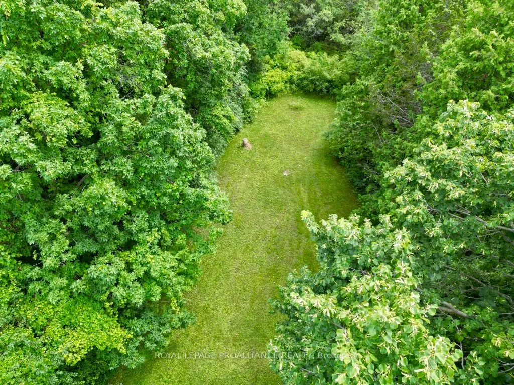 1692 North Big Island Road