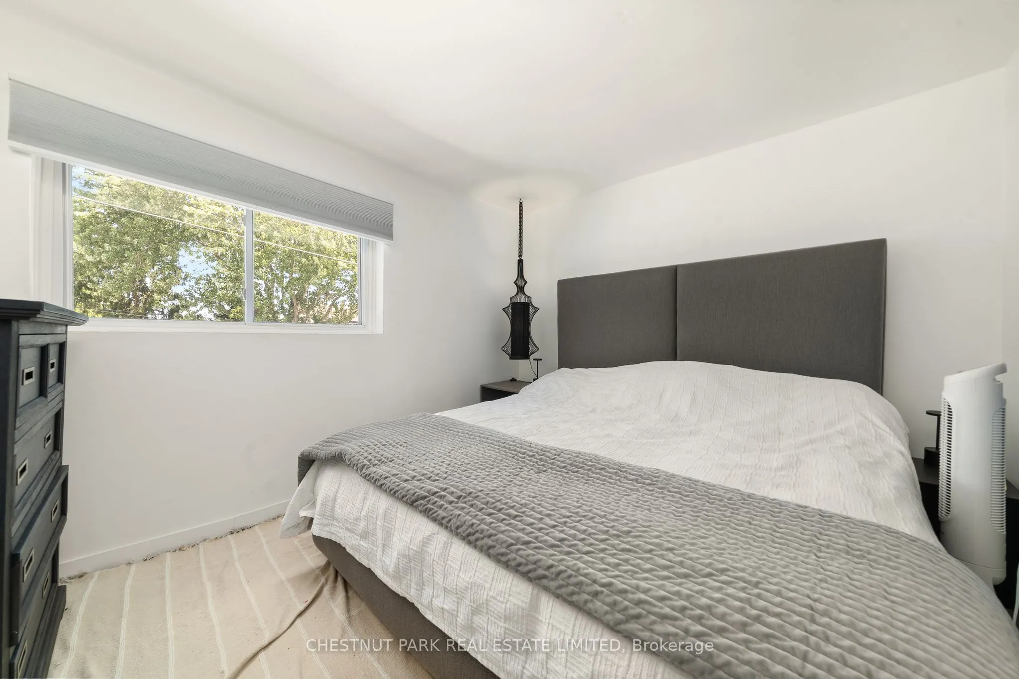 46 Consecon Street