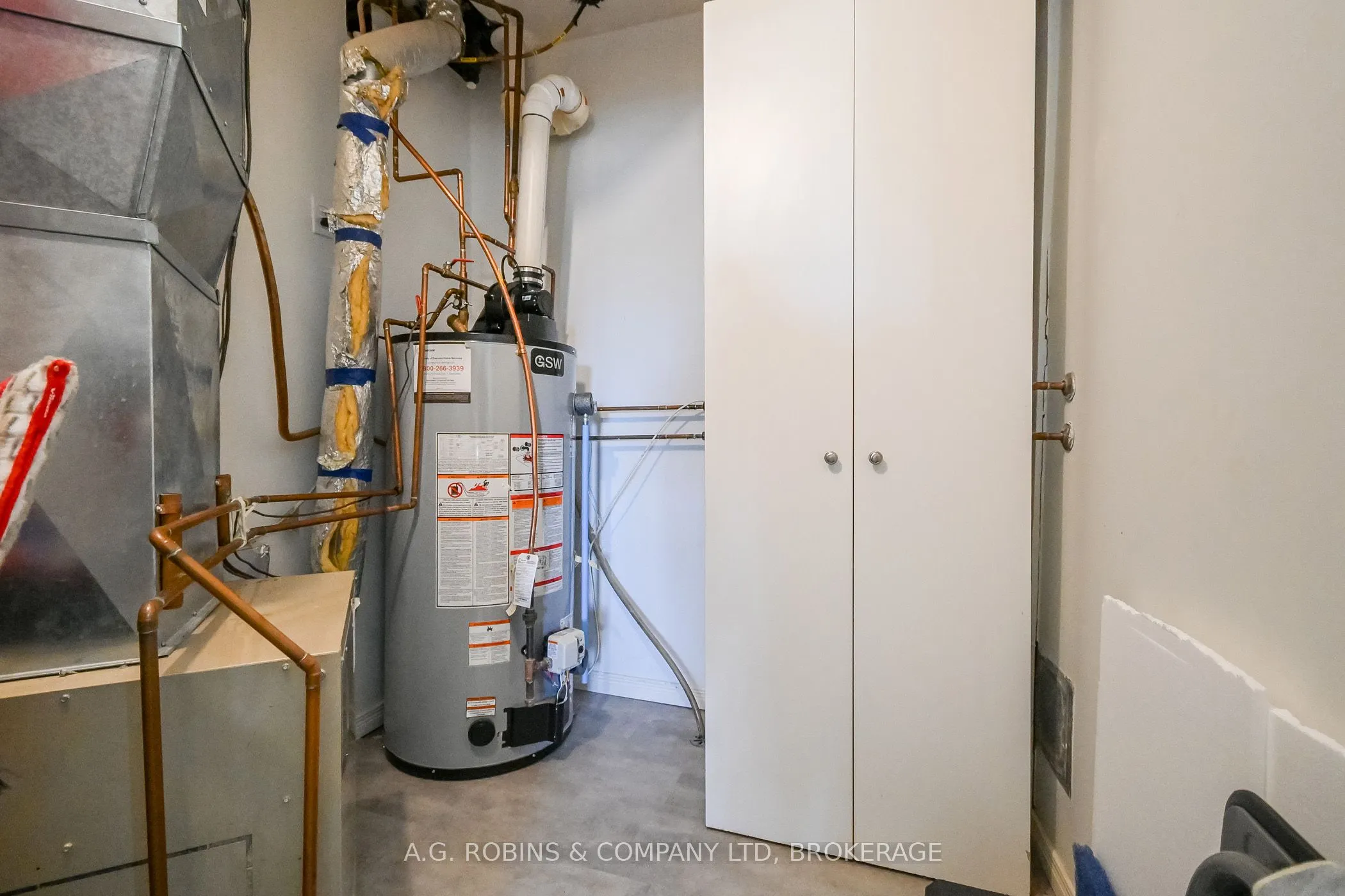 117 Willson Road, #8