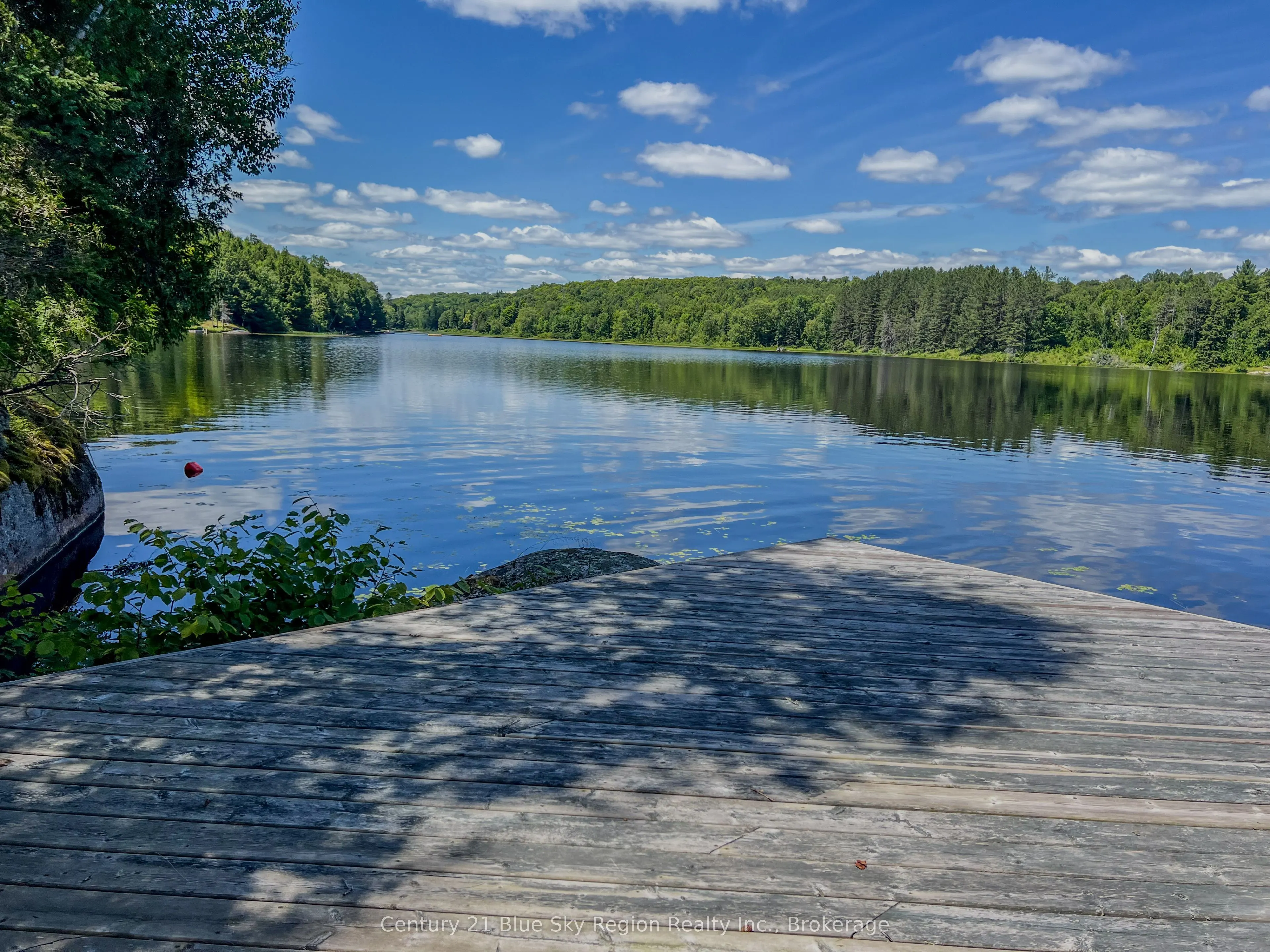 21 Jack's Lake