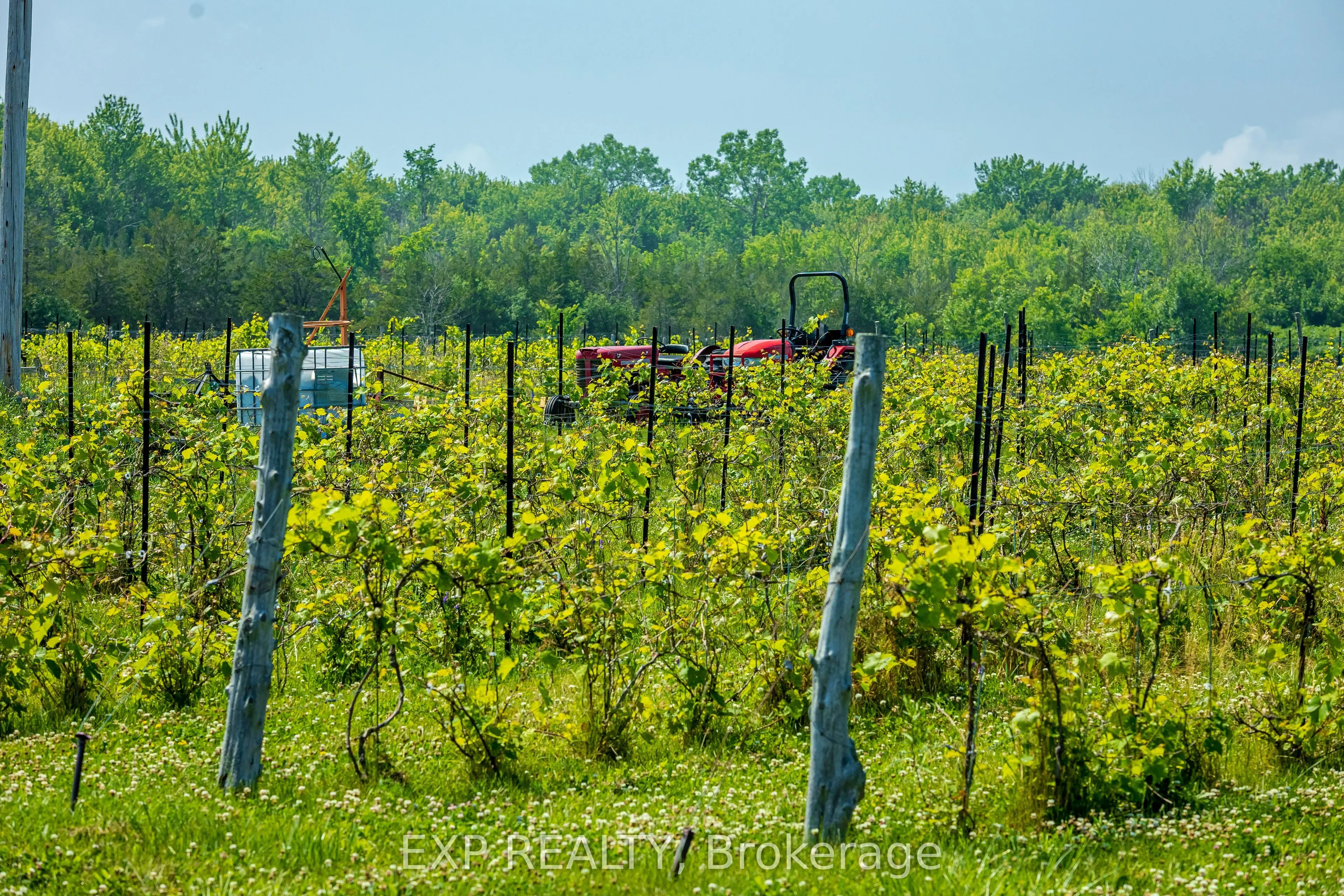 3609 County Road 8