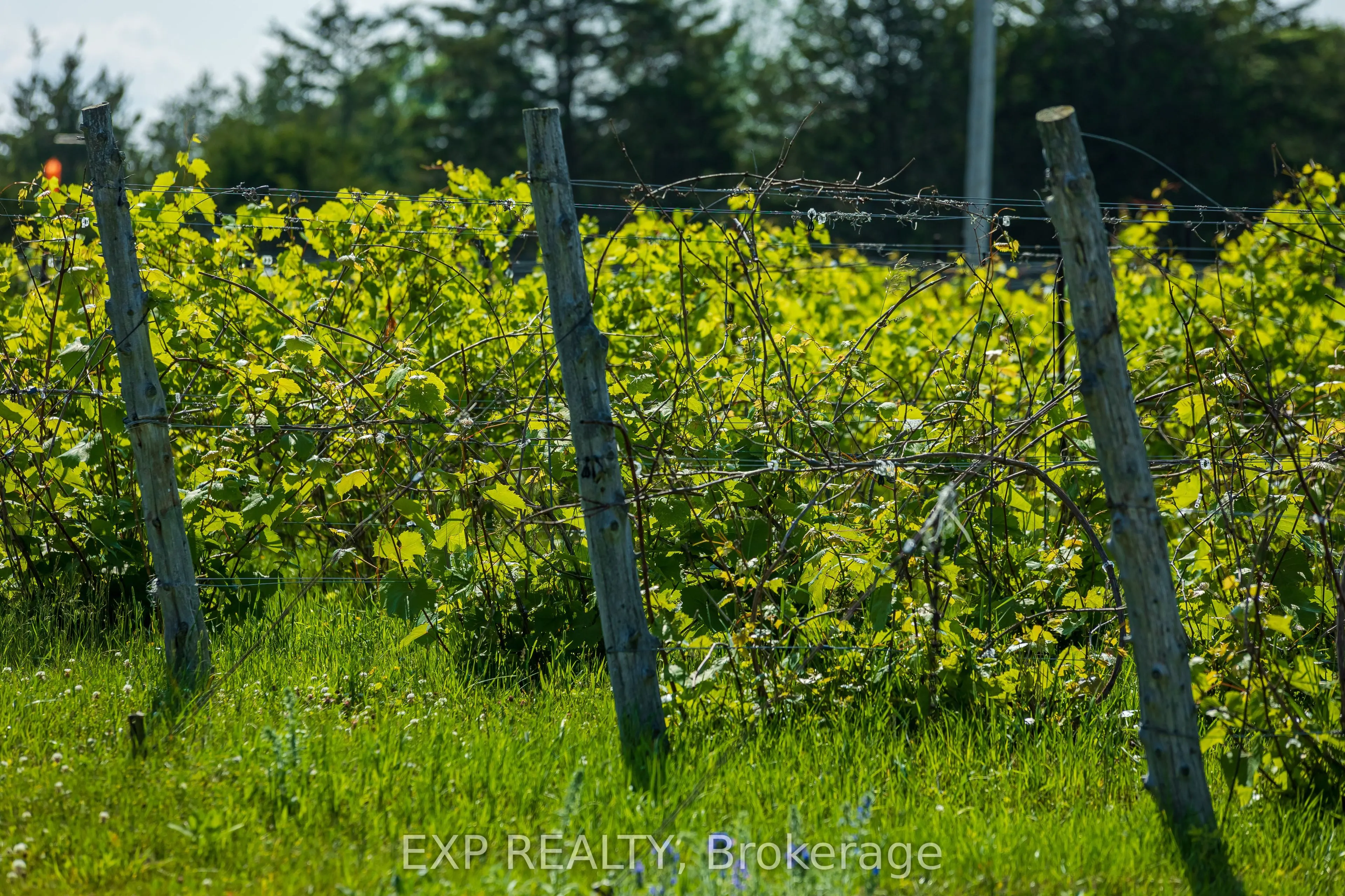 3609 County Road 8