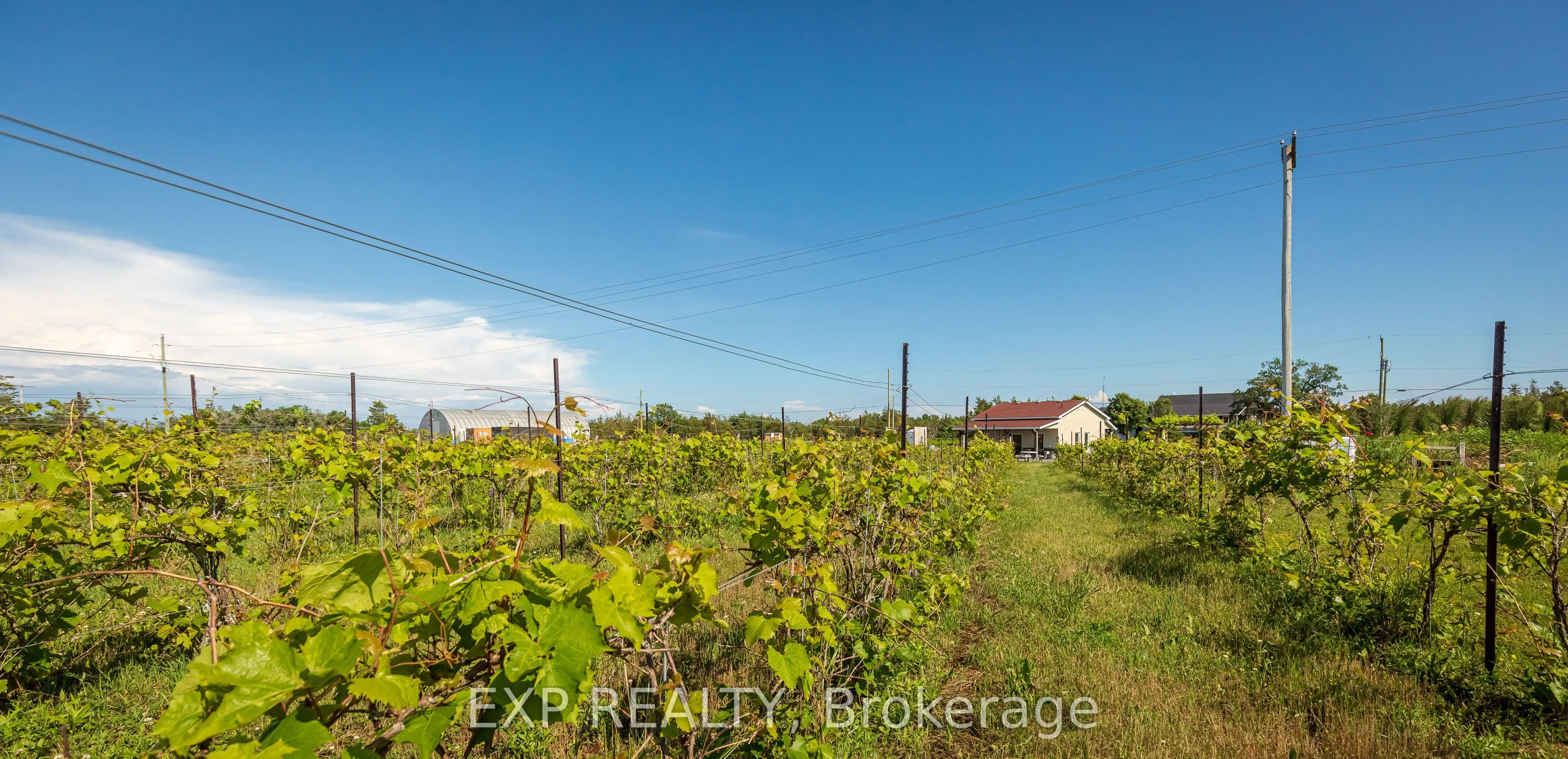 3609 County Road 8
