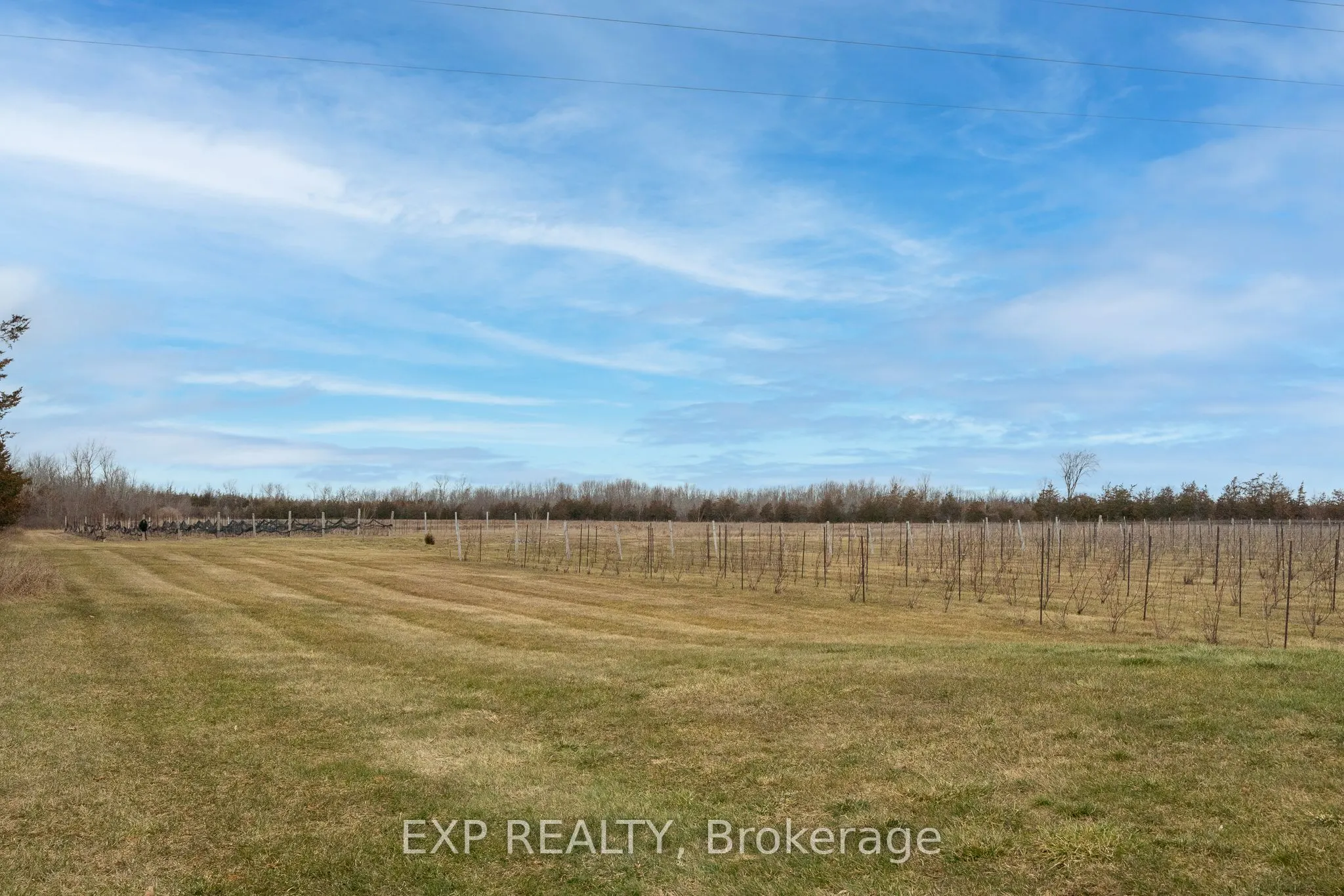 3589 County Road 8