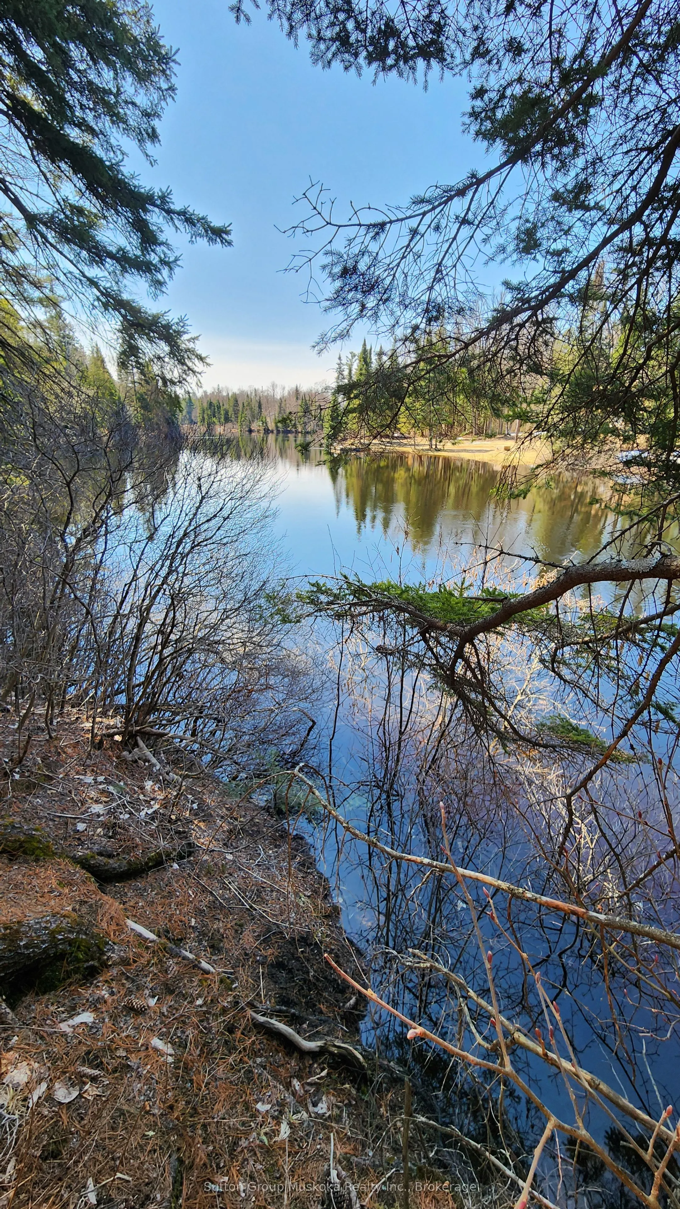 00 Red Pine Trail