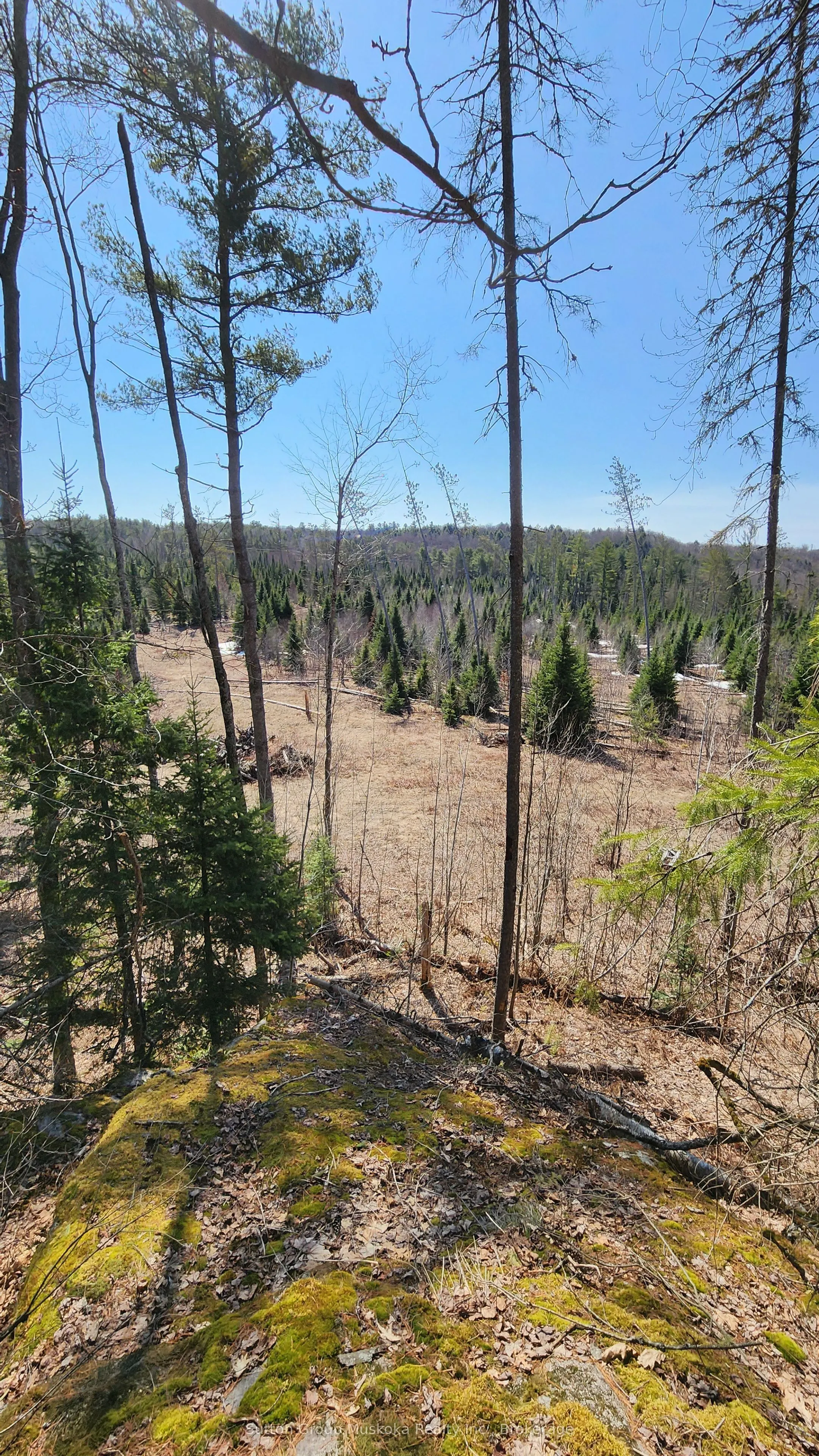 00 Red Pine Trail